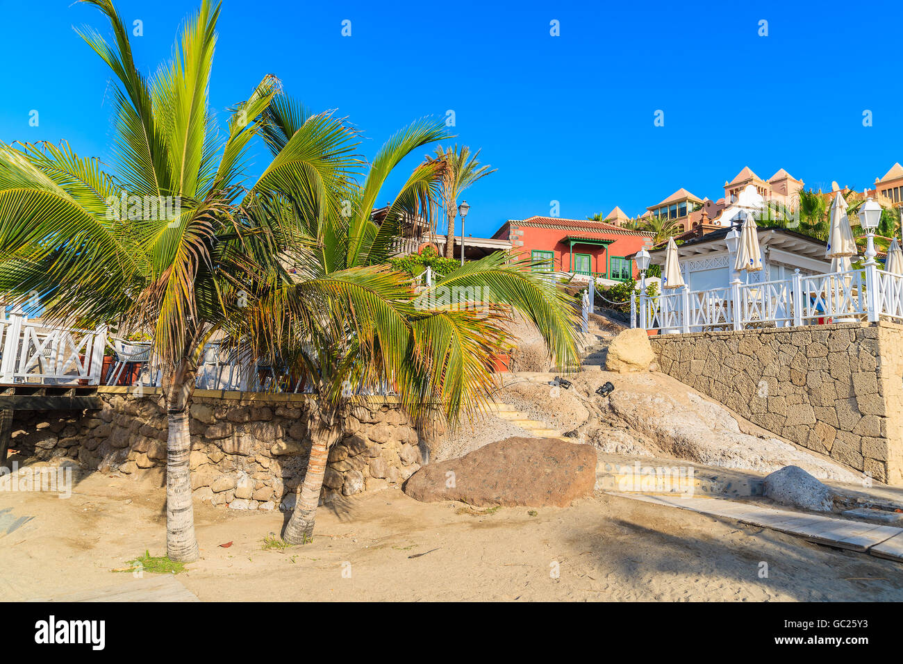 Palme esotiche El Duque Beach a Costa Adeje town, Tenerife, Isole Canarie, Spagna Foto Stock