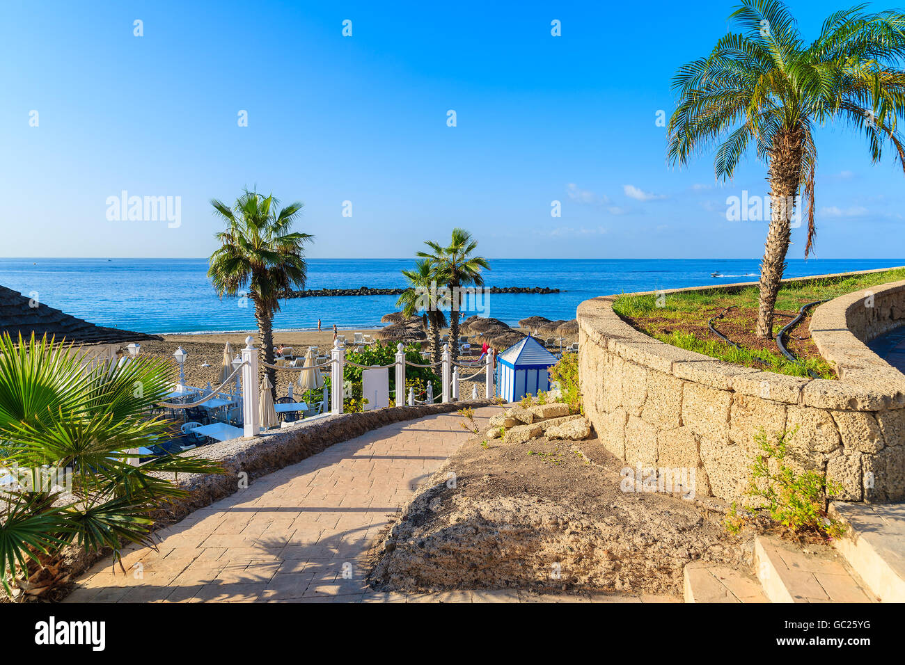 La passerella con palme esotiche di El Duque Beach a Costa Adeje town, Tenerife, Isole Canarie, Spagna Foto Stock