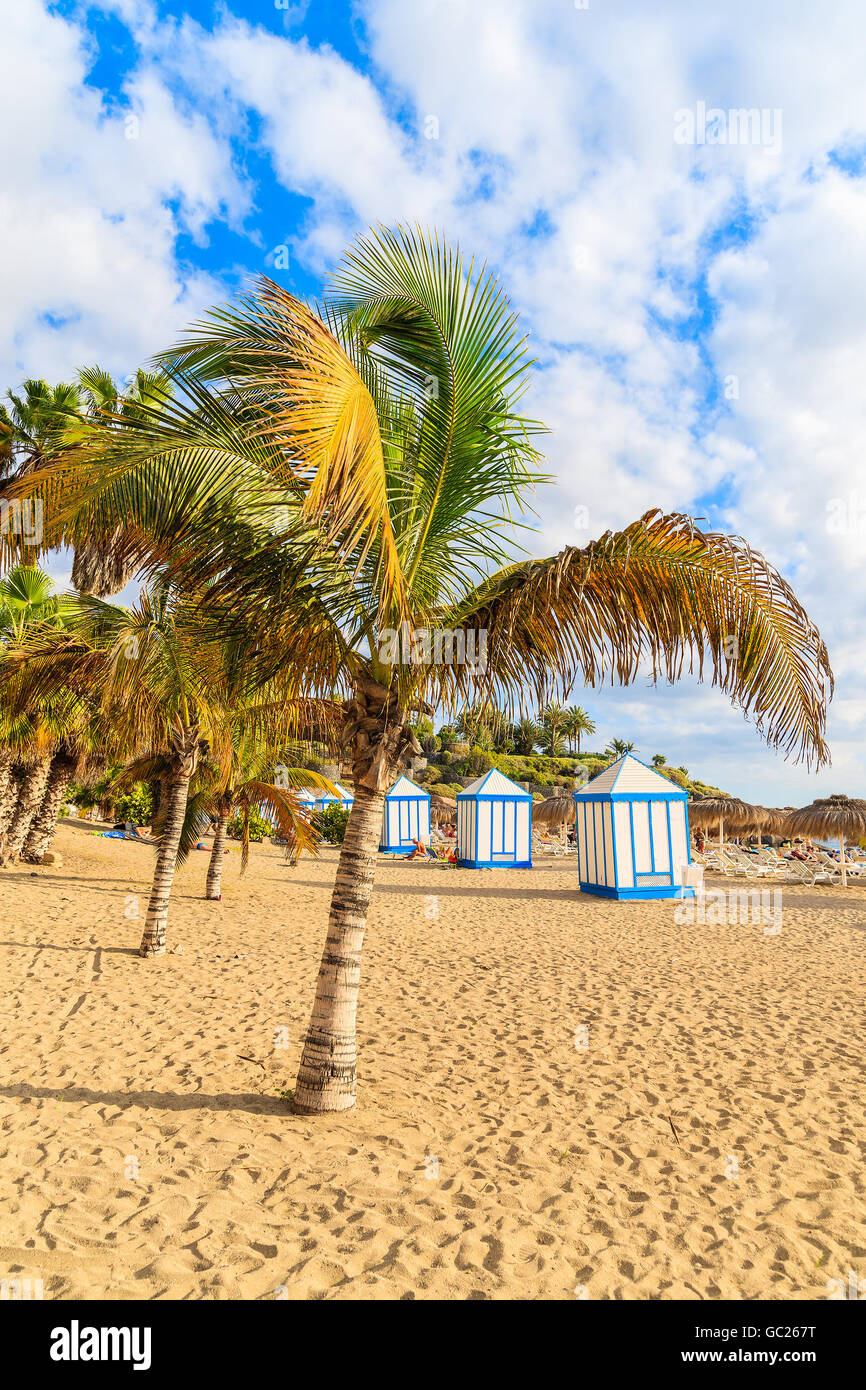 Palme sulla sabbia esotico El Duque Beach a Costa Adeje town, Tenerife, Isole Canarie, Spagna Foto Stock