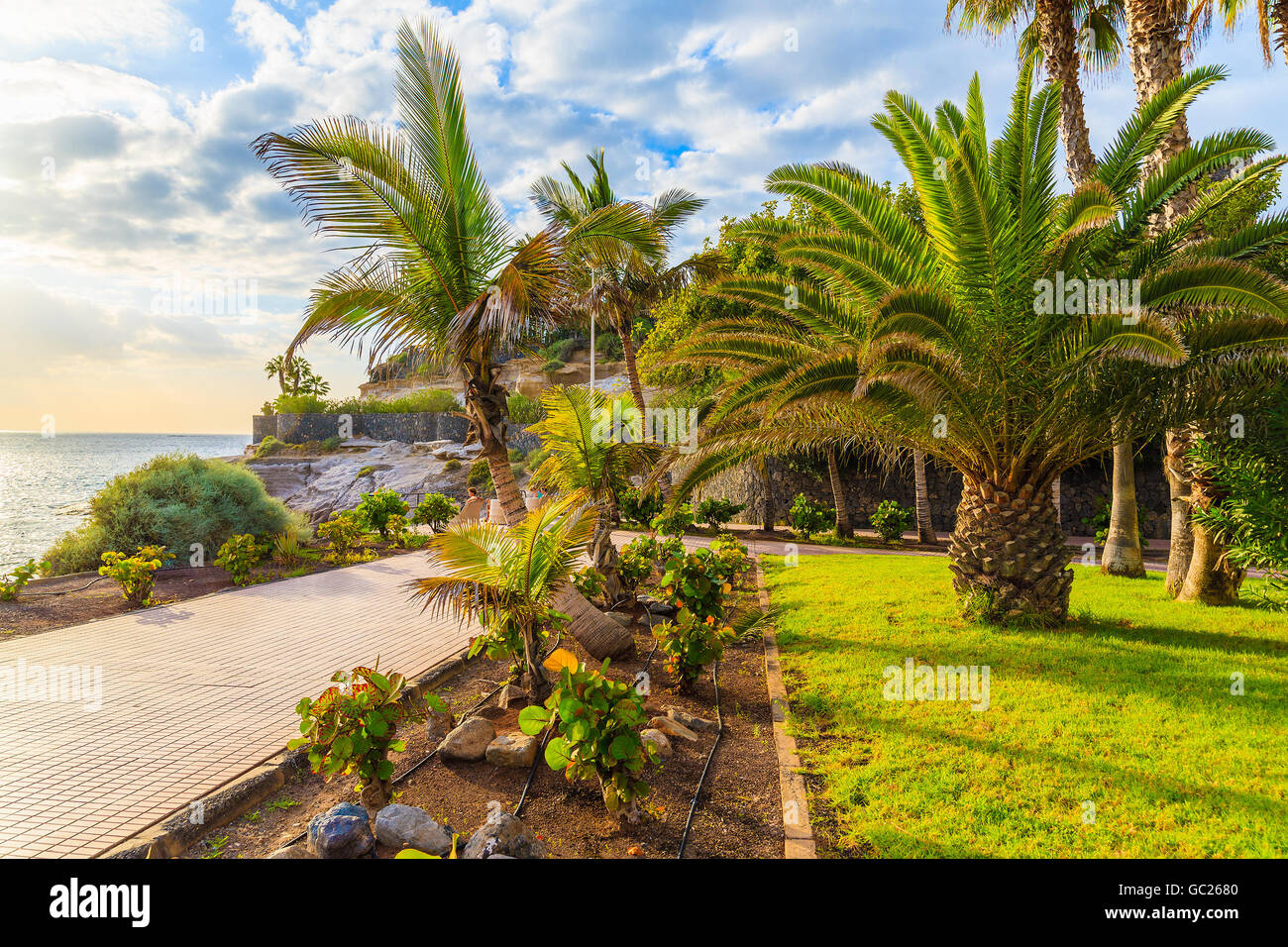 Esotica passeggiata costiera con le palme in Costa Adeje città di vacanze, Tenerife, Isole Canarie, Spagna Foto Stock