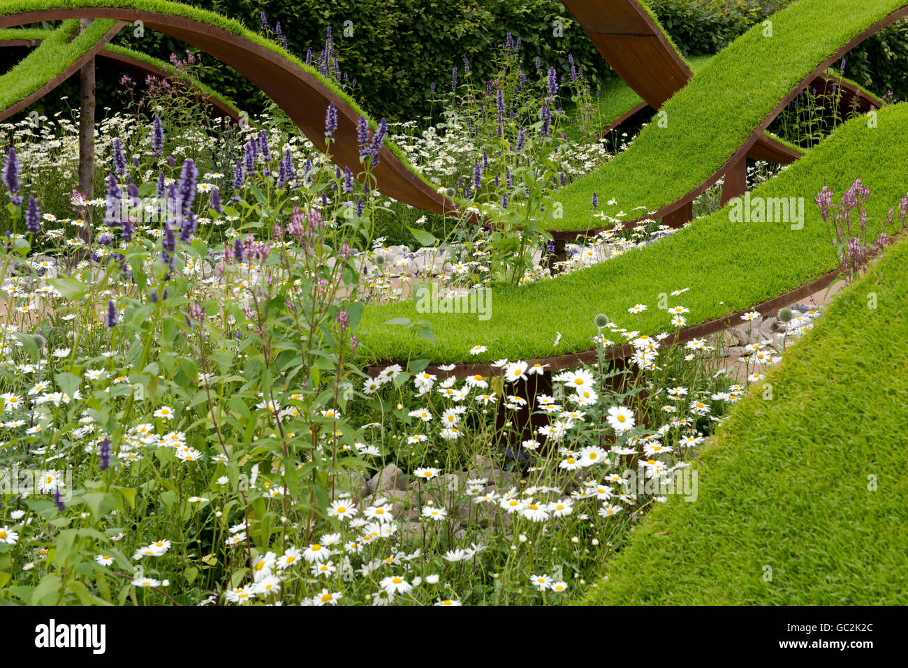 Flotaing onde del manto erboso e margherite nella visione del mondo giardino all'Hampton Court Palace Flower Show 2016 Foto Stock