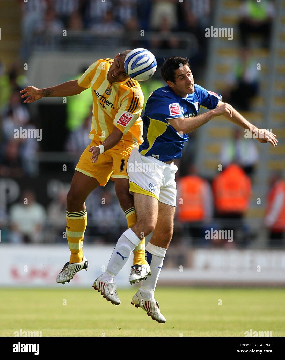 Calcio - Coca-Cola Football League Championship - Cardiff City / Newcastle United - Cardiff City Stadium. Danny Simpson (a sinistra) del Newcastle United e Peter Whittingham di Cardiff City lottano per la palla Foto Stock