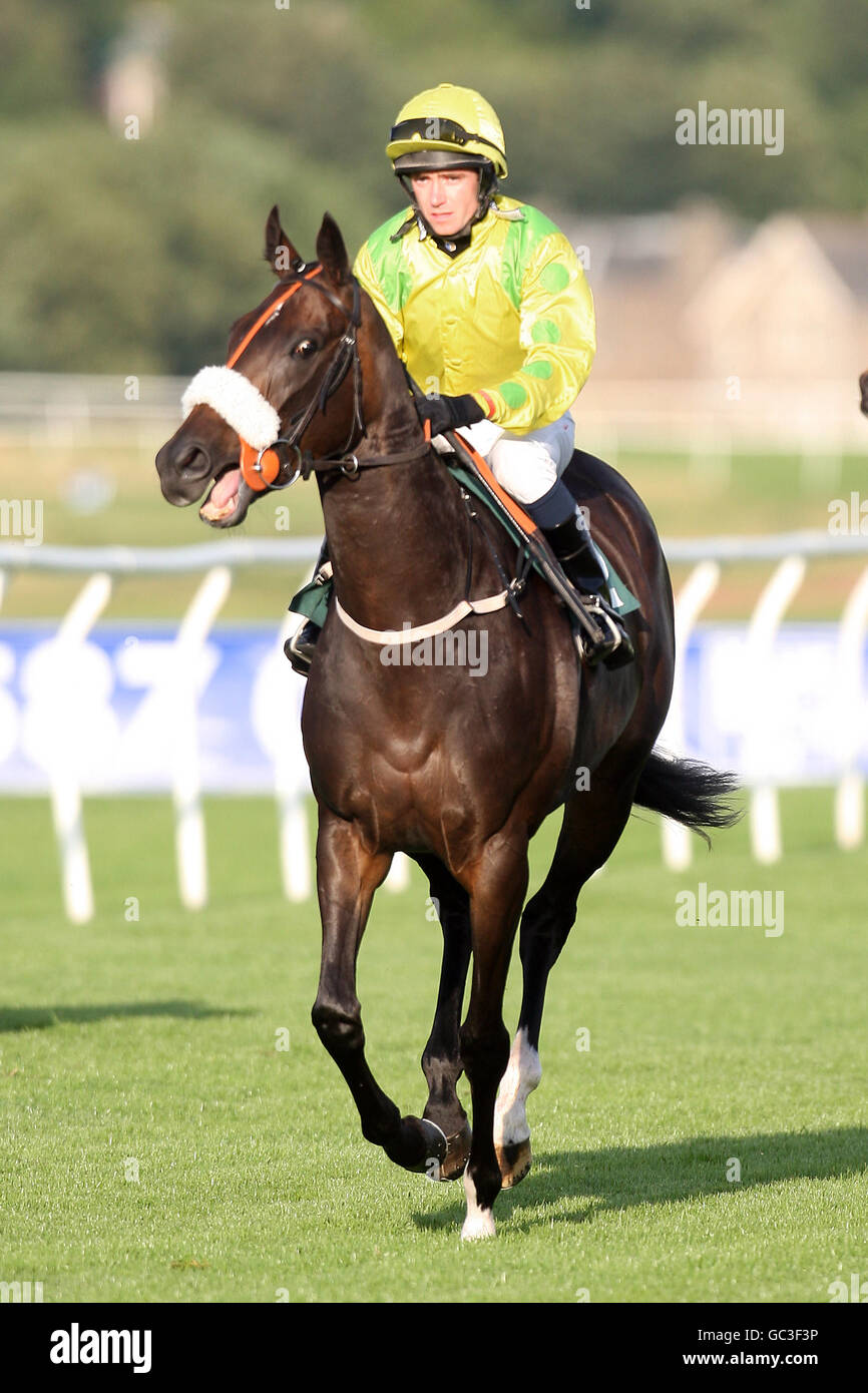 Jockey Tom Eaves su Millie's Rock prima dell'Oriente Handicap del Consiglio Lotiano Foto Stock