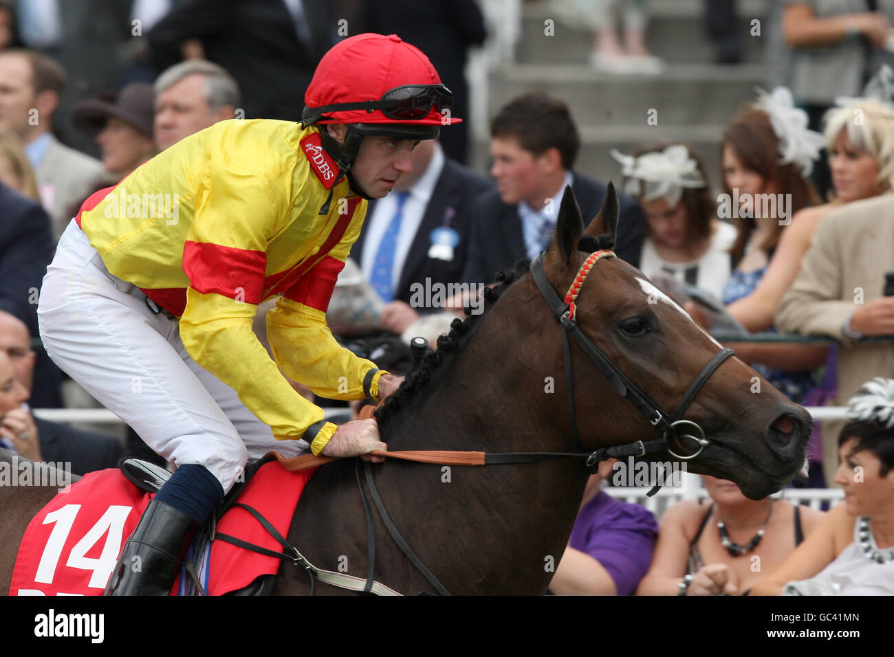 Horse Racing - 2009 Ebor Festival - Darley Yorkshire Oaks & Signore giorno - York Racecourse Foto Stock