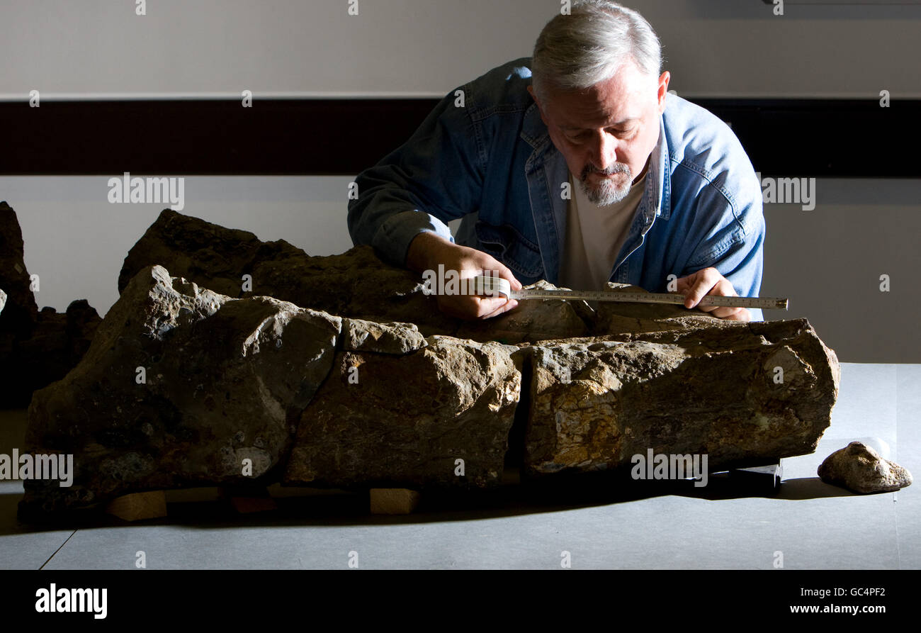 Paleontologo Richard Forrest con l'osso mascellare di un pleosauro fossilizzato trovato sulla costa del Dorset. Si ritiene che sia il più grande esempio finora scoperto del più grande predatore a vivere sul pianeta. Foto Stock