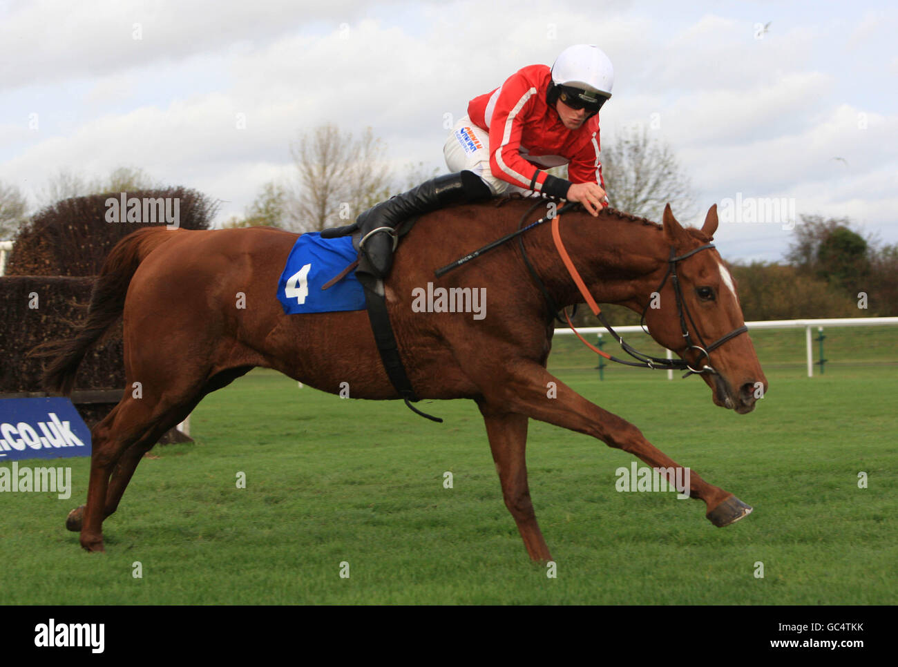 Corse di cavalli - Family Fun Day - Huntingdon Racecourse. Leader all'ultimo Haar guidato da Nick Schofield cade dal suo cavallo durante il Jockey Club Catering Macer Gifford handicap Steeple Chase Foto Stock