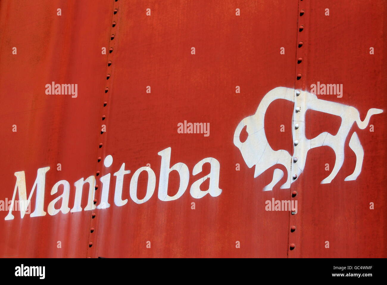 Manitoba e un bufalo contrassegnati sul lato di un treno box auto in Alberta, Canada. Foto Stock