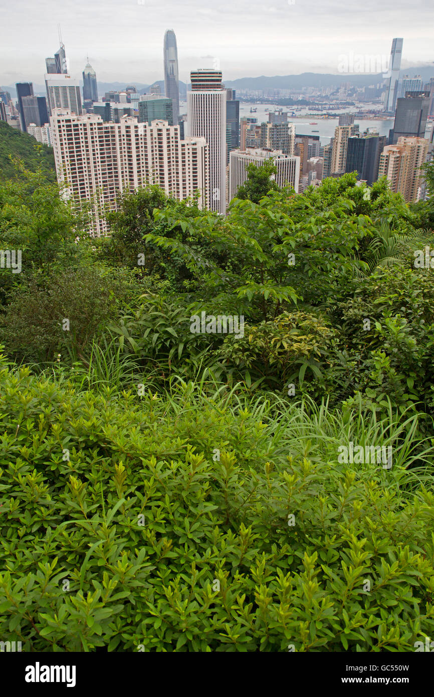 Vista su Hong Kong dalle pendici del Victoria Peak Foto Stock