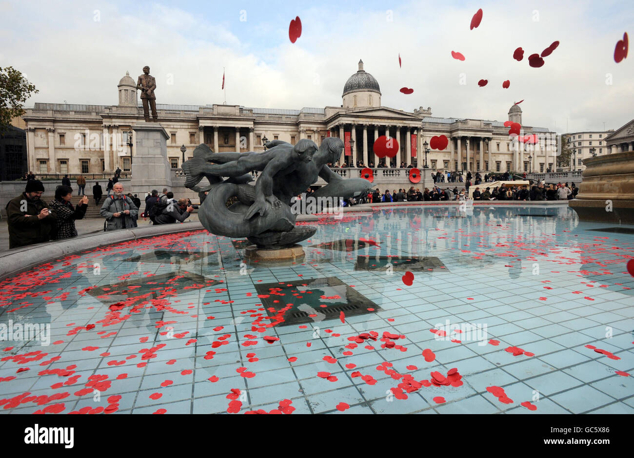 I papaveri di carta vengono gettati in una fontana a Trafalgar Square, Londra, a seguito di un concerto pubblico del giorno della memoria e di una lettura di poesia ospitata dalla Legione Britannica reale. Foto Stock