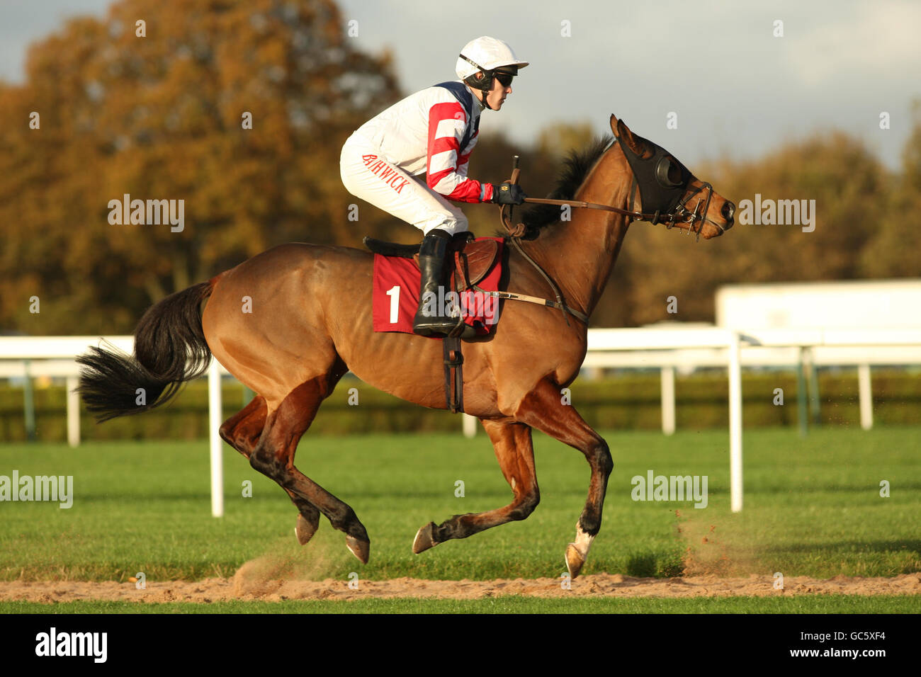 Royal Rationale guidato da Tom Scudamore va a postare per L'abbonamento in linea a racinguk.com handicap gara di ostacoli Foto Stock