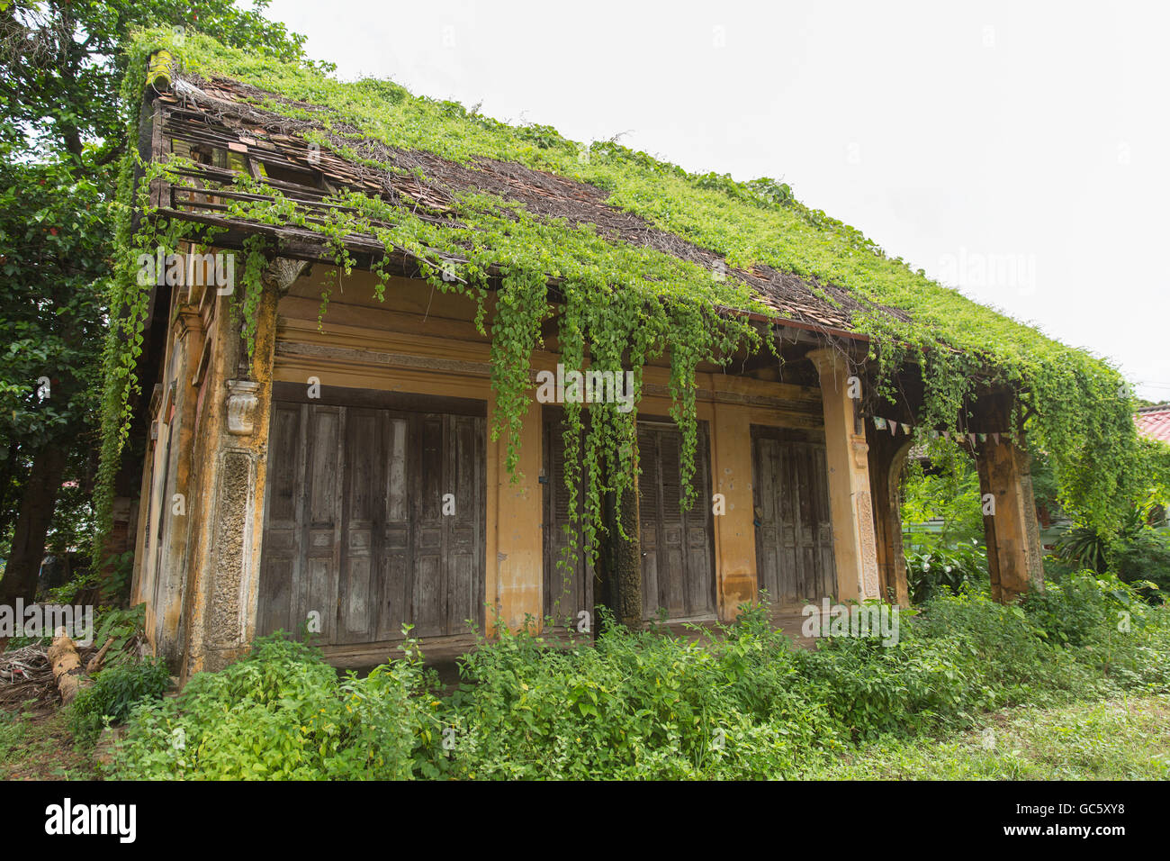 Casa abbandonata nel nord-est della Thailandia con verde overgrowth Foto Stock