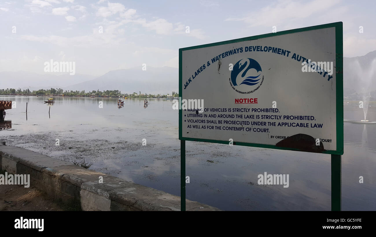 Dal lago di Kashmir Foto Stock