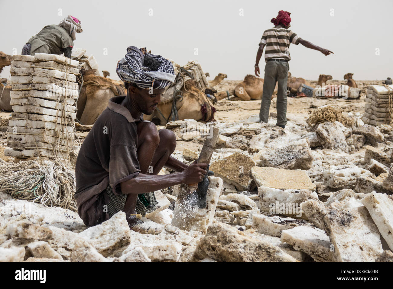 Un minatore di sale taglia il sale da terra in blocchi, pronti per essere trasportati in città dalla distesa di sale della depressione Danakil Foto Stock
