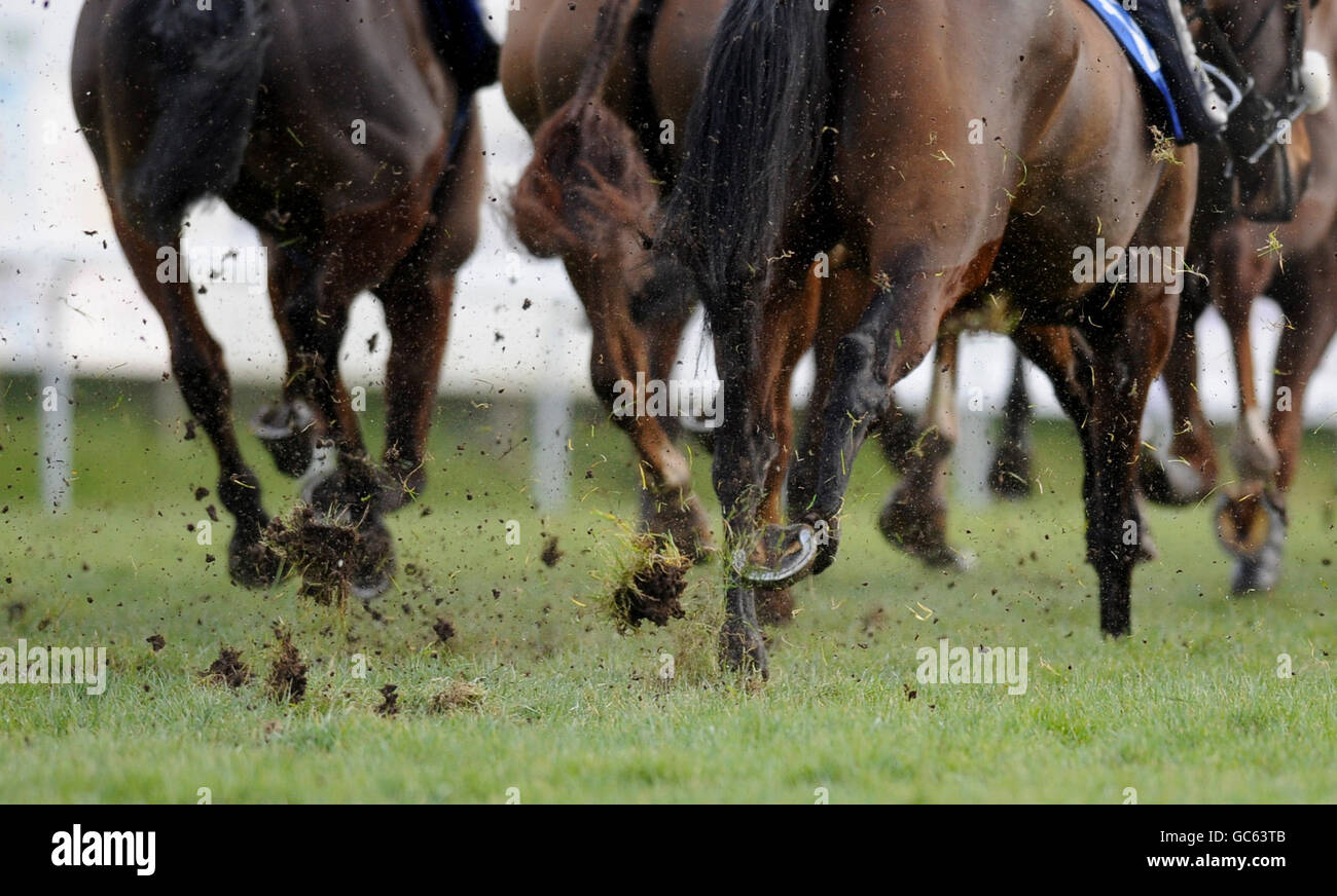 Vista generale degli zoccoli di cavalli che galoppano con fango e erba sintetica volare Foto Stock