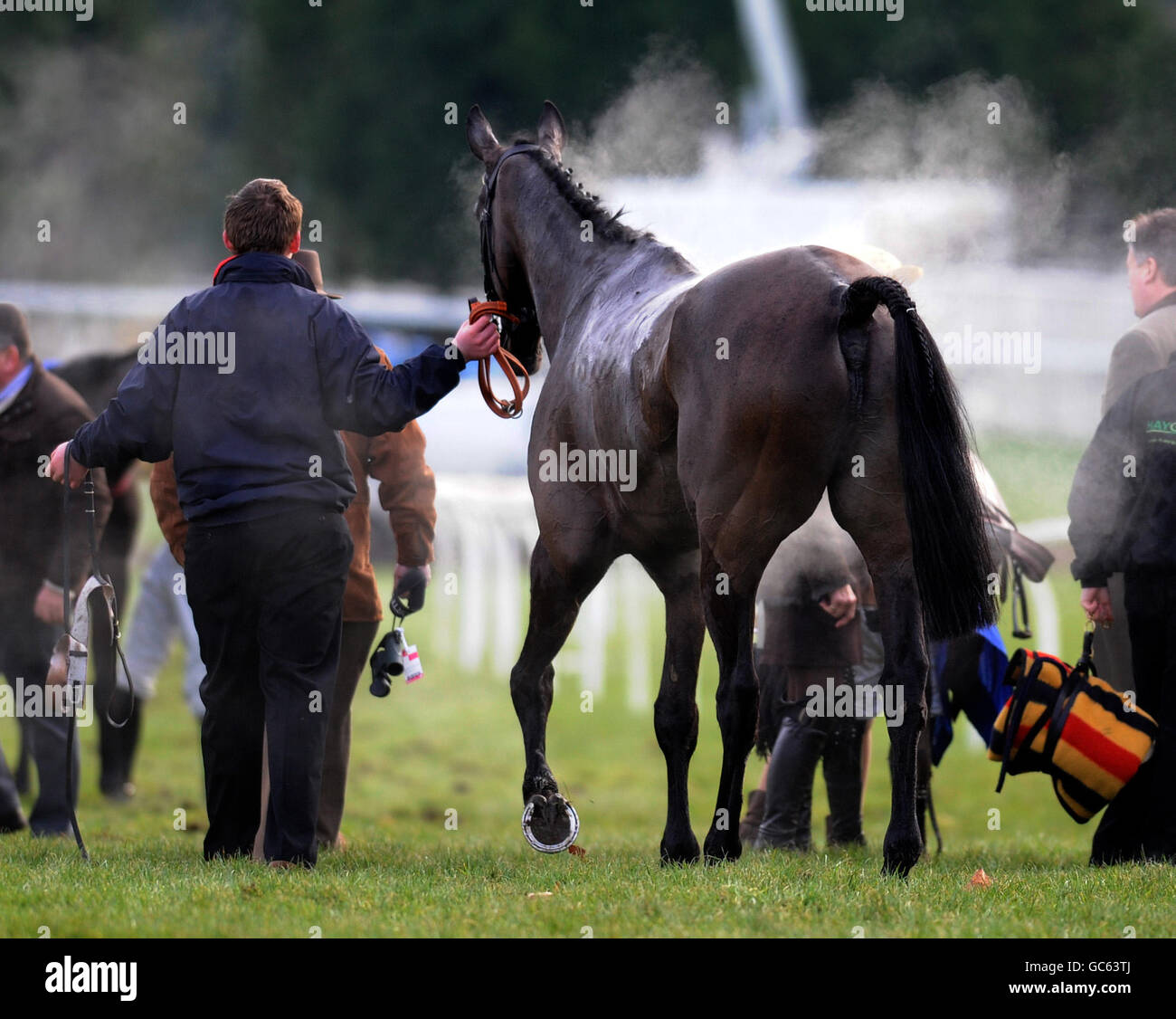 Un Cavallo viene portato fuori dopo l'ostacolo per l'handicap del Coral.co.uk con il vapore che si alza è tornato Foto Stock