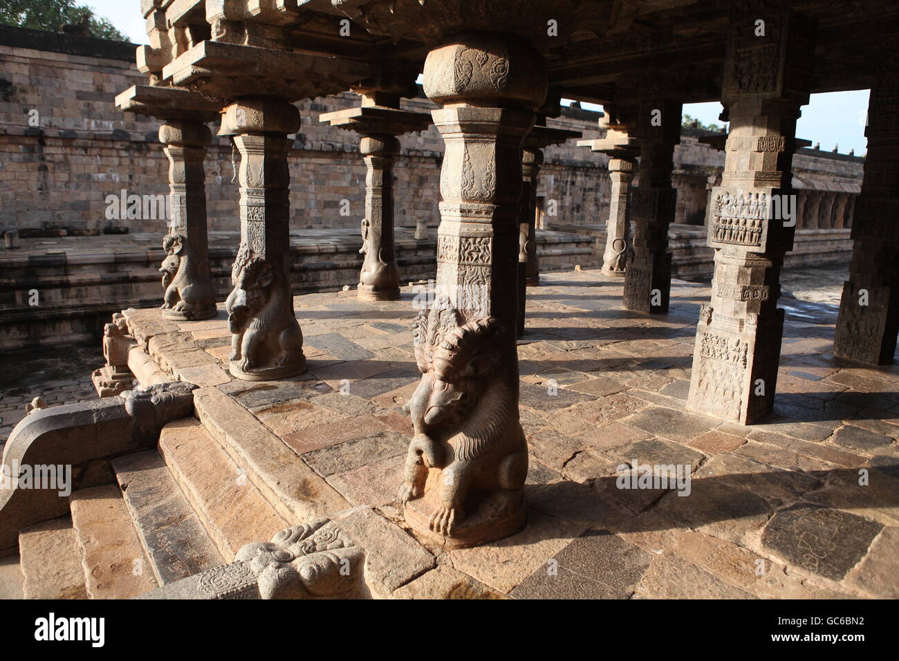 Pilastri a airavatisvara tempio di darasuram,Tamil Nadu Foto Stock