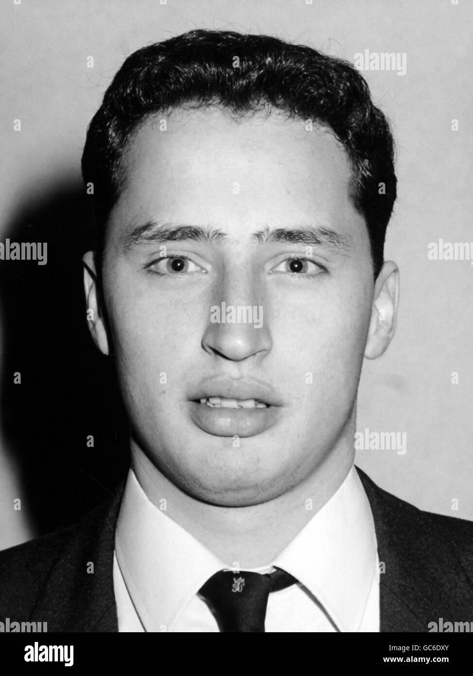 Ritratti di cricket Foto Stock