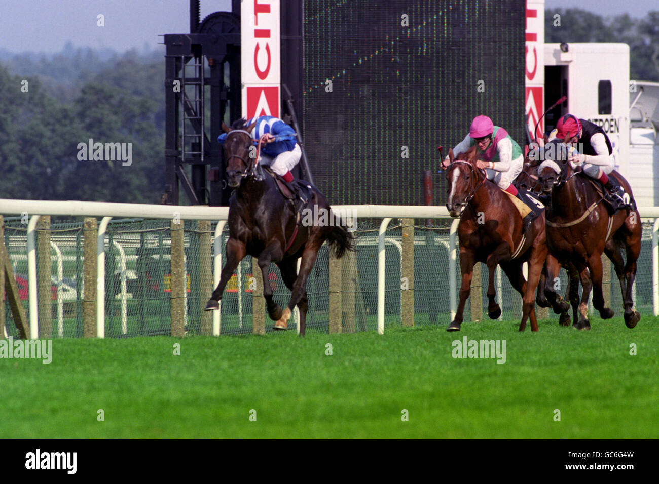 LAHIB CON WILLIE CARSON IN SU (A SINISTRA) VINCE LA REGINA ELIZABETH II POSTA IN GIOCO AD ASCOT DA BREVE TREGUA (A DESTRA) GUIDATA DA MICHAEL KINANE, SECONDO. IL CENTRO È PAT EDDERY SU TUTTO IL MARE CHE NON È STATO POSTO. Foto Stock