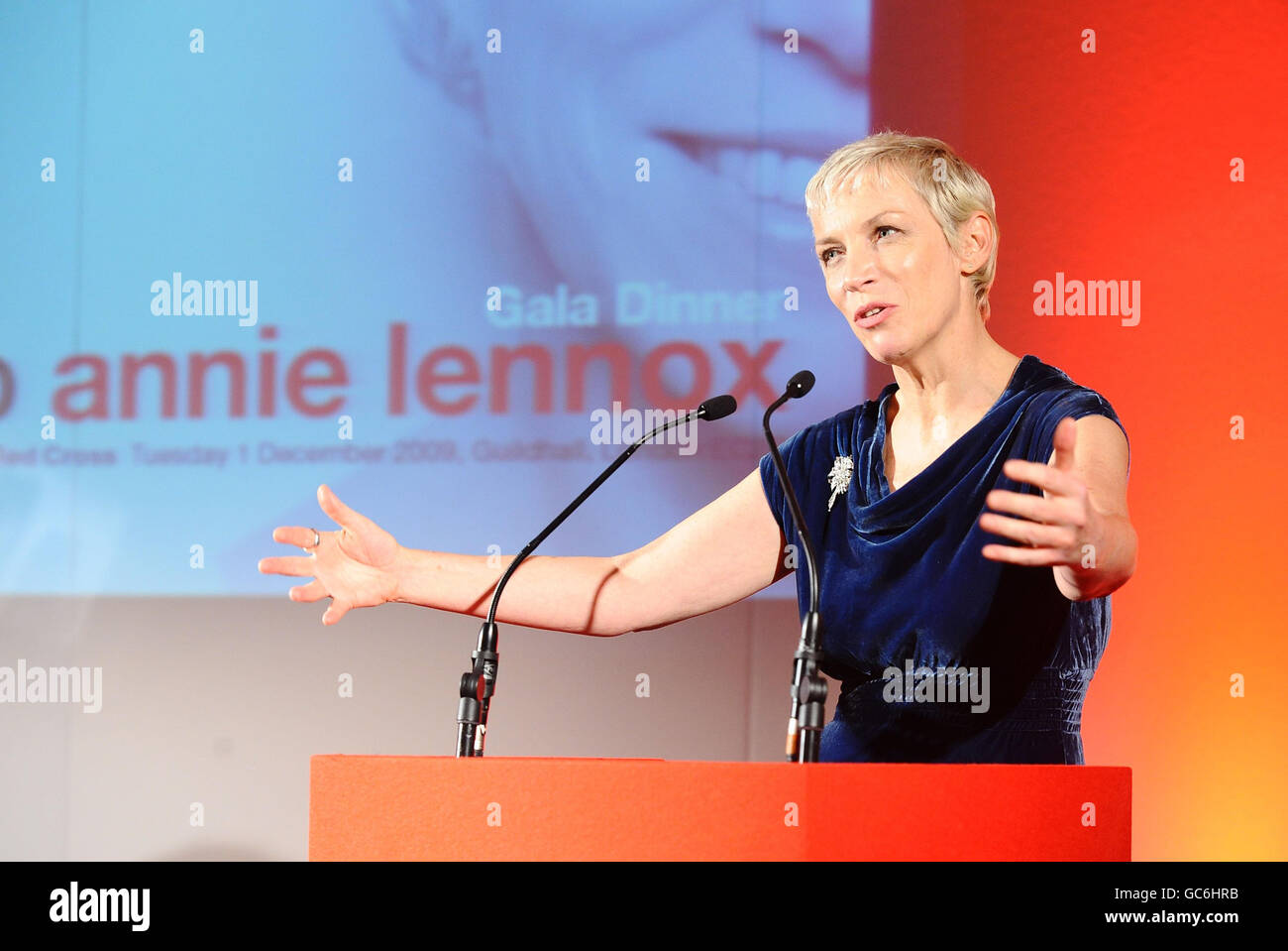 Annie Lennox serata tributo Foto Stock