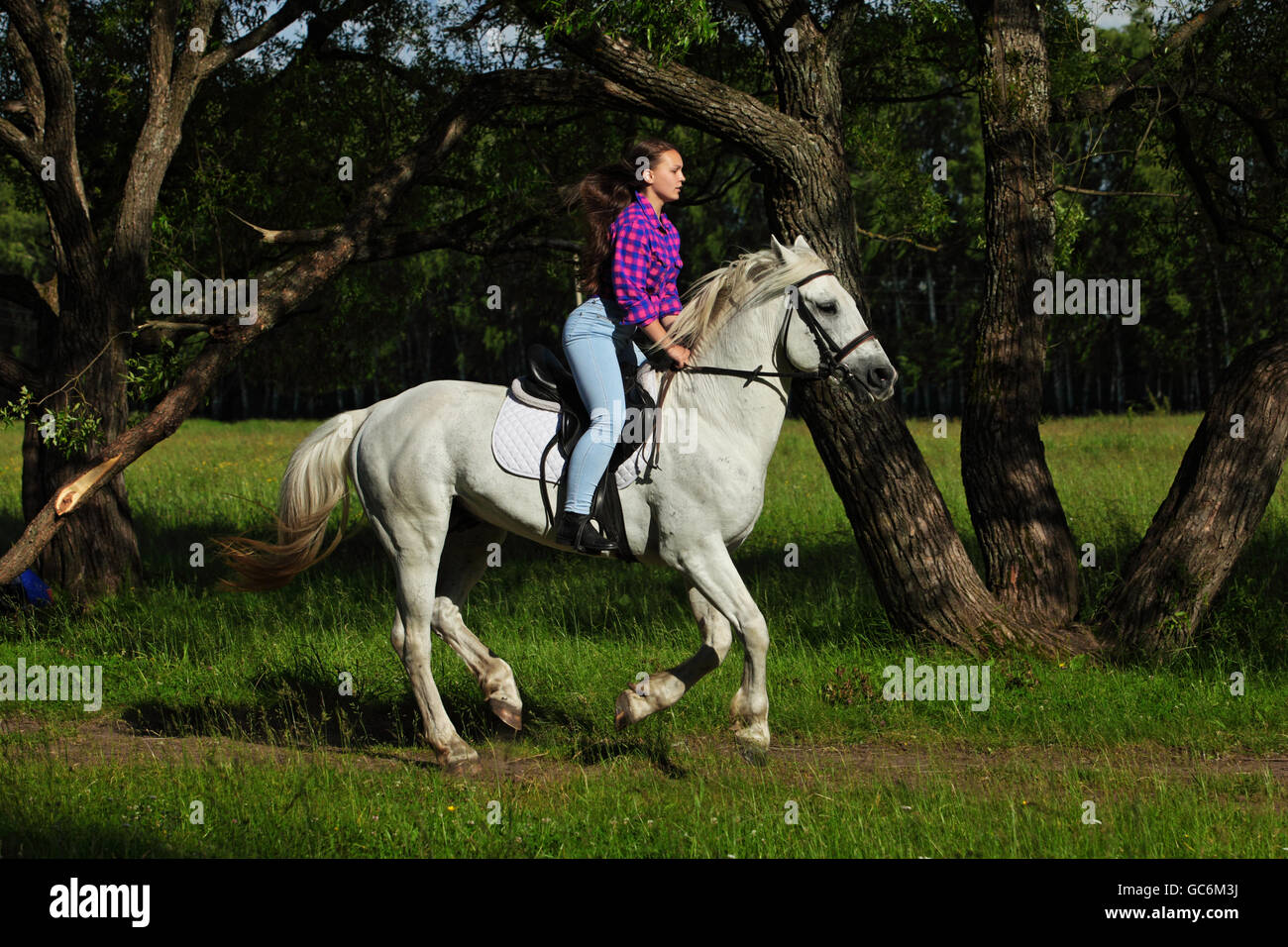 Allegro cowgirl e il suo cavallo al galoppo Foto Stock