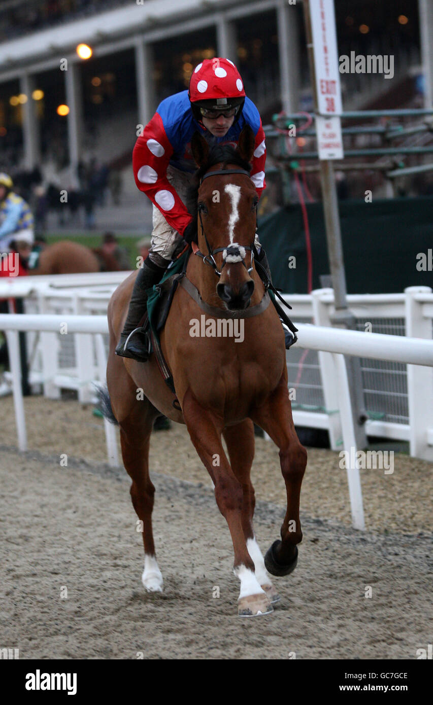 Corse ippiche - Boylesports International - Day One - Cheltenham Racecourse. Jockey Ruby Walsh su Ghizao va al posto nella corsa di ostacoli E.B.F 'National Hunt' Novices' Foto Stock