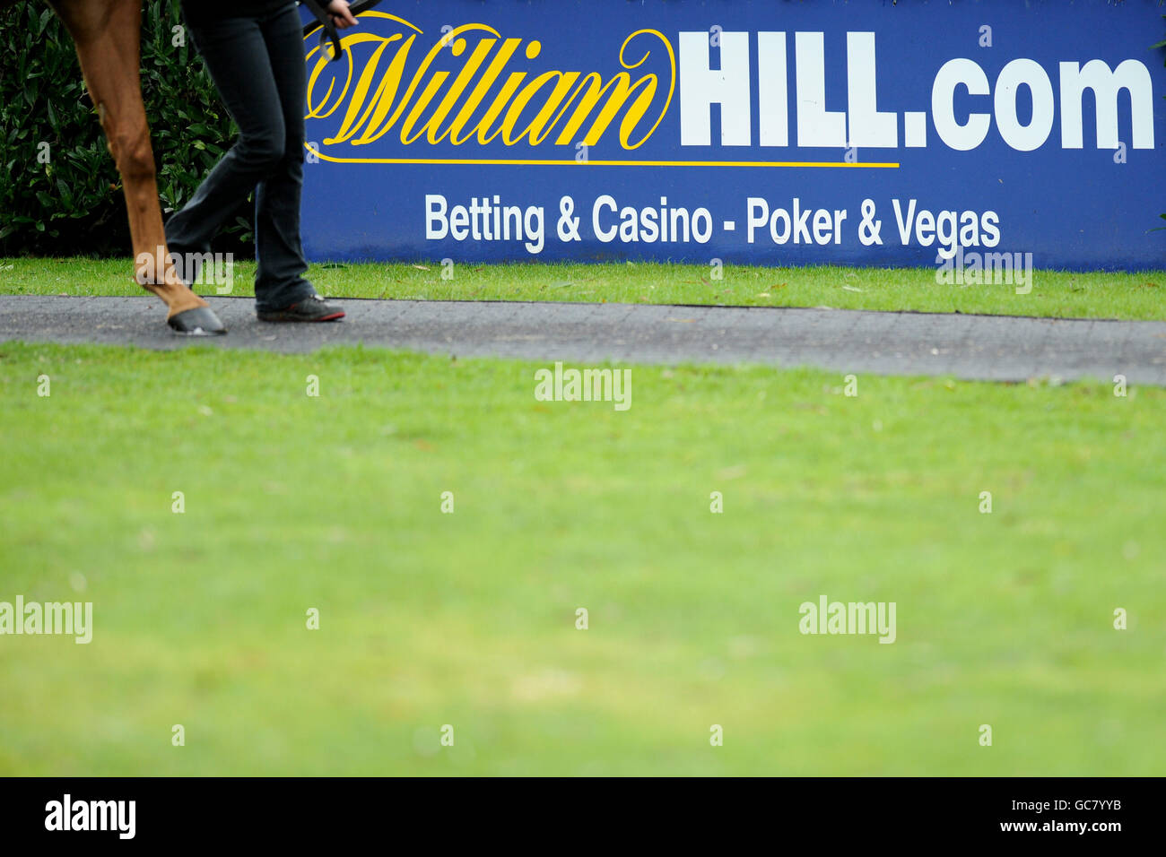 Corse ippiche - William Hill Winter Festival 2009 - giorno uno - Ippodromo di Kempton Park. Cartello William Hill al Kempton Park Foto Stock