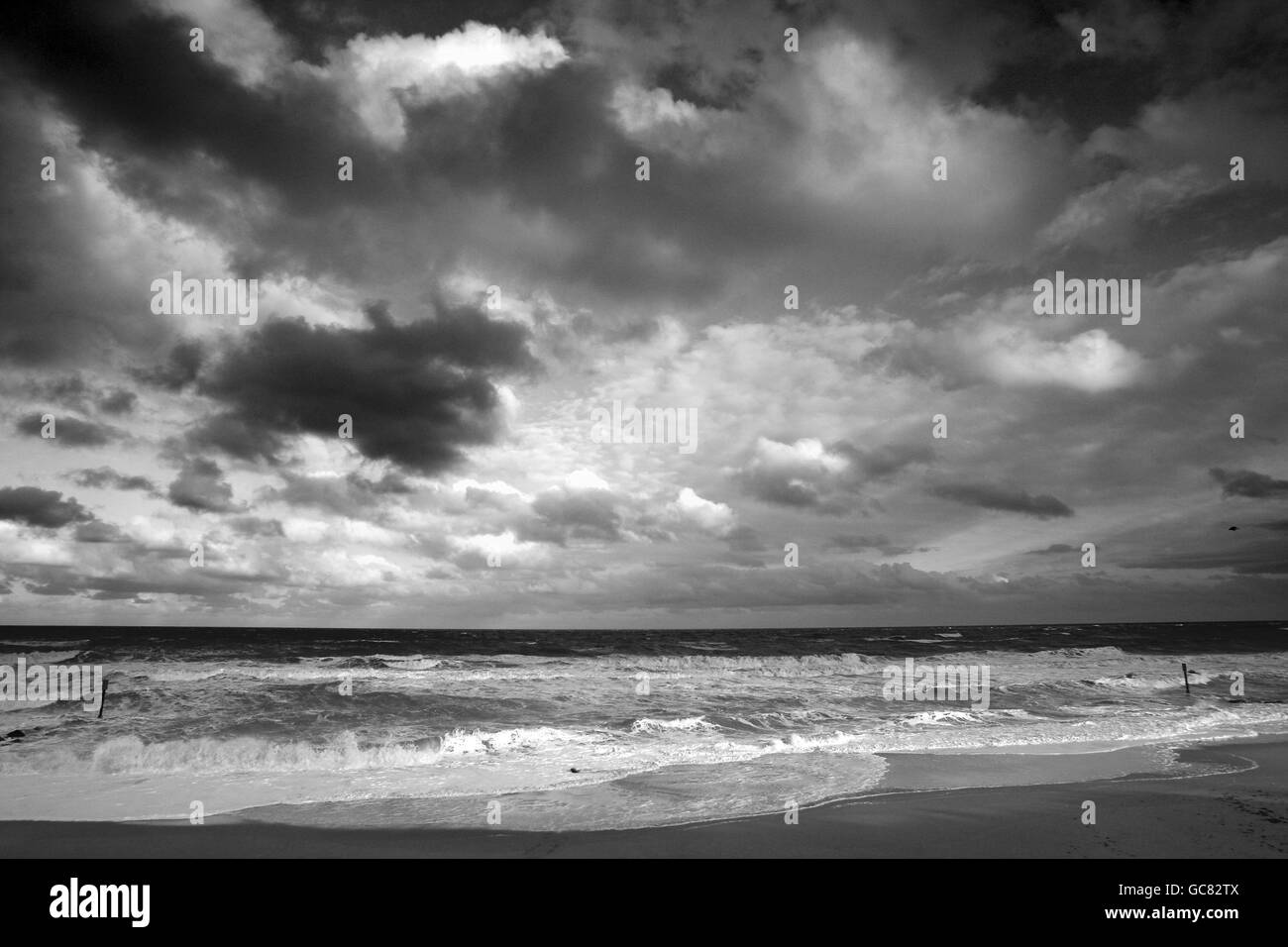 Una vista generale della spiaggia tra Horsey e Winterton on Sea, che ospita una colonia di foche grigie. Foto Stock