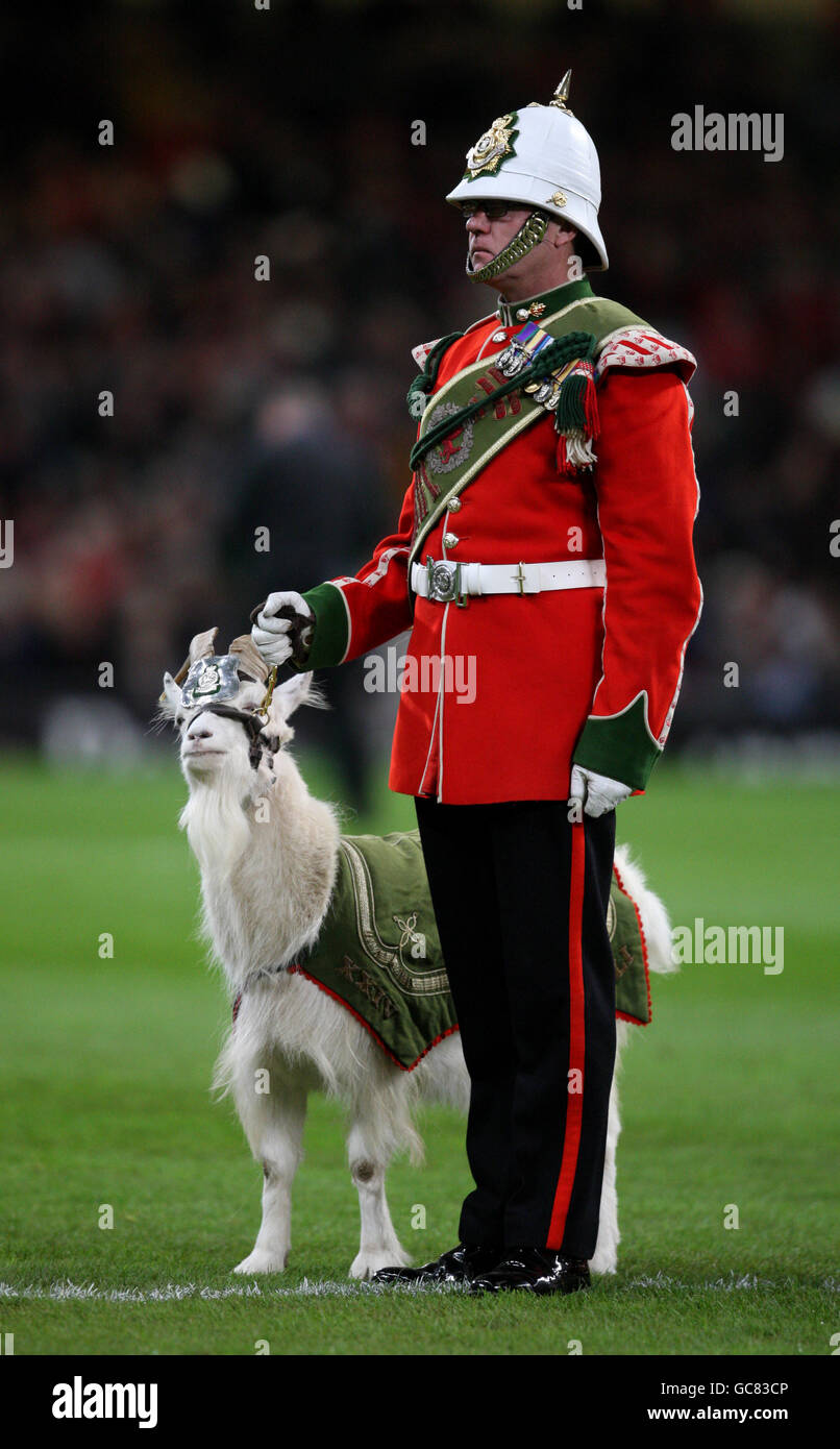 Rugby Union - Tour Match - James Bevan Trophy - Galles / Australia - Millennium Stadium. La mascotte reale gallese Goat e la capra maggiore Foto Stock