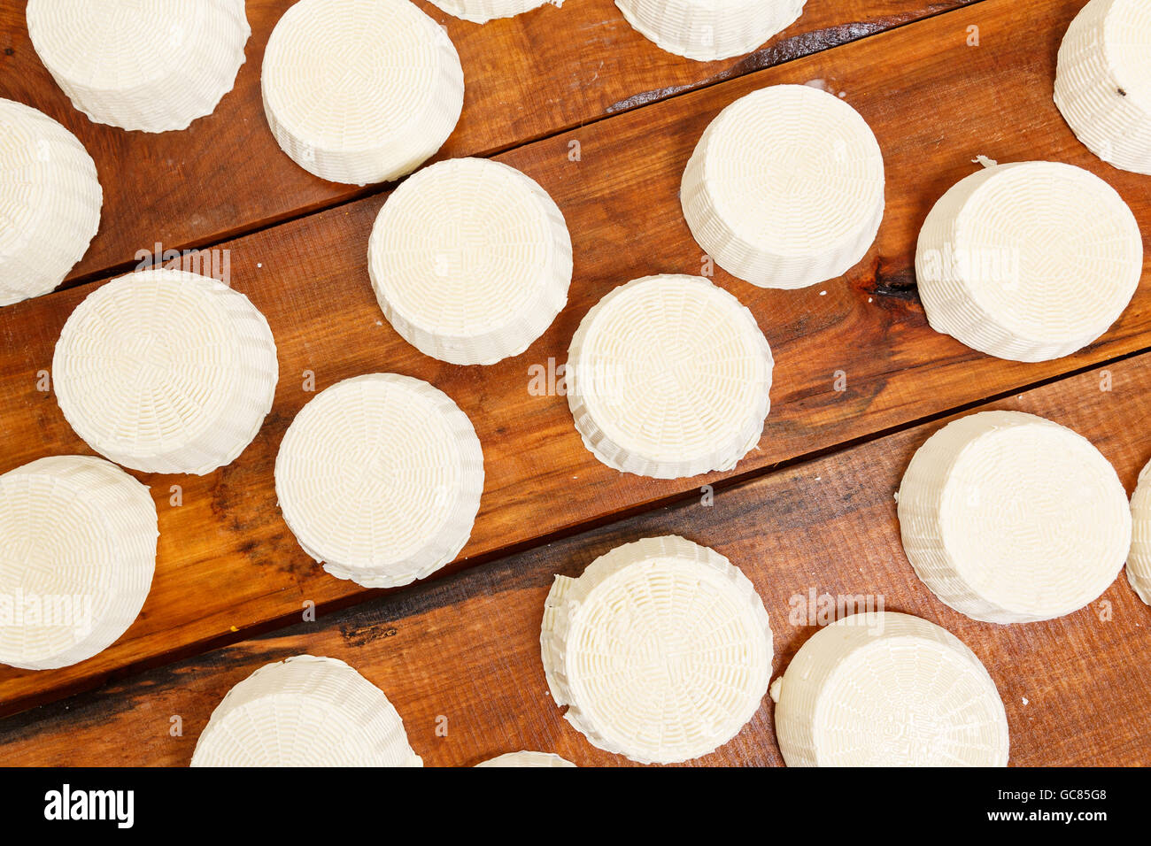 Il salato formaggi di capra testate su un ripiano di legno in una cantina in una fattoria privata. Produzione di formaggio Foto Stock