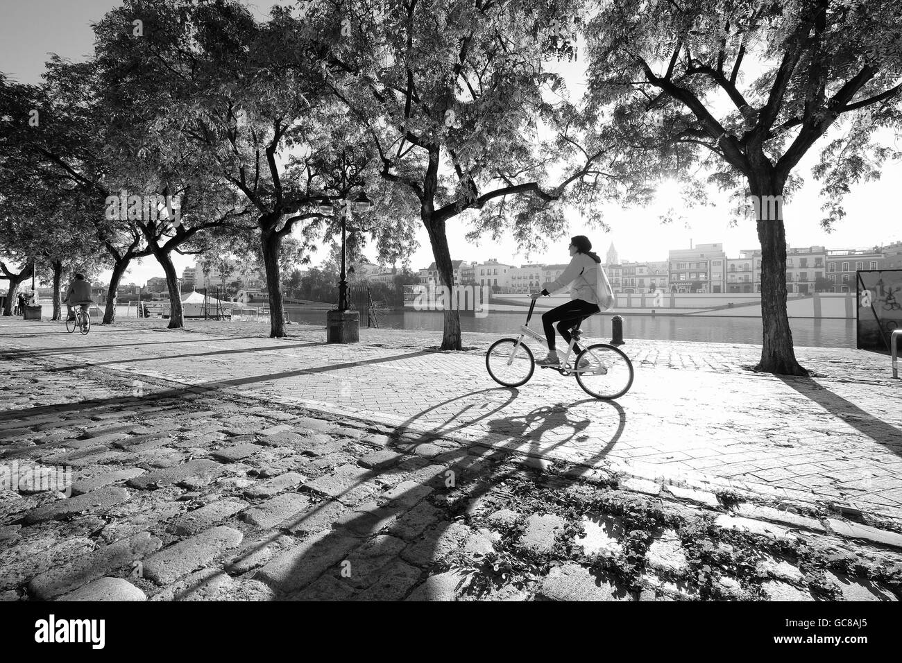 Donna ciclista a cavallo lungo le rive del fiume Guadalquivir in streaming la luce del sole attraverso gli alberi che gettano ombre sul marciapiede in ciottoli Siviglia Foto Stock