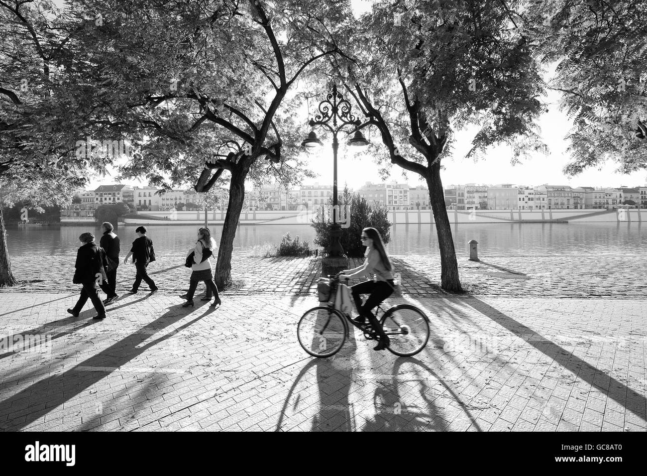 I ciclisti a cavallo lungo le rive del fiume Guadalquivir in streaming la luce del sole attraverso gli alberi che gettano ombre sul marciapiede in ciottoli Siviglia Foto Stock