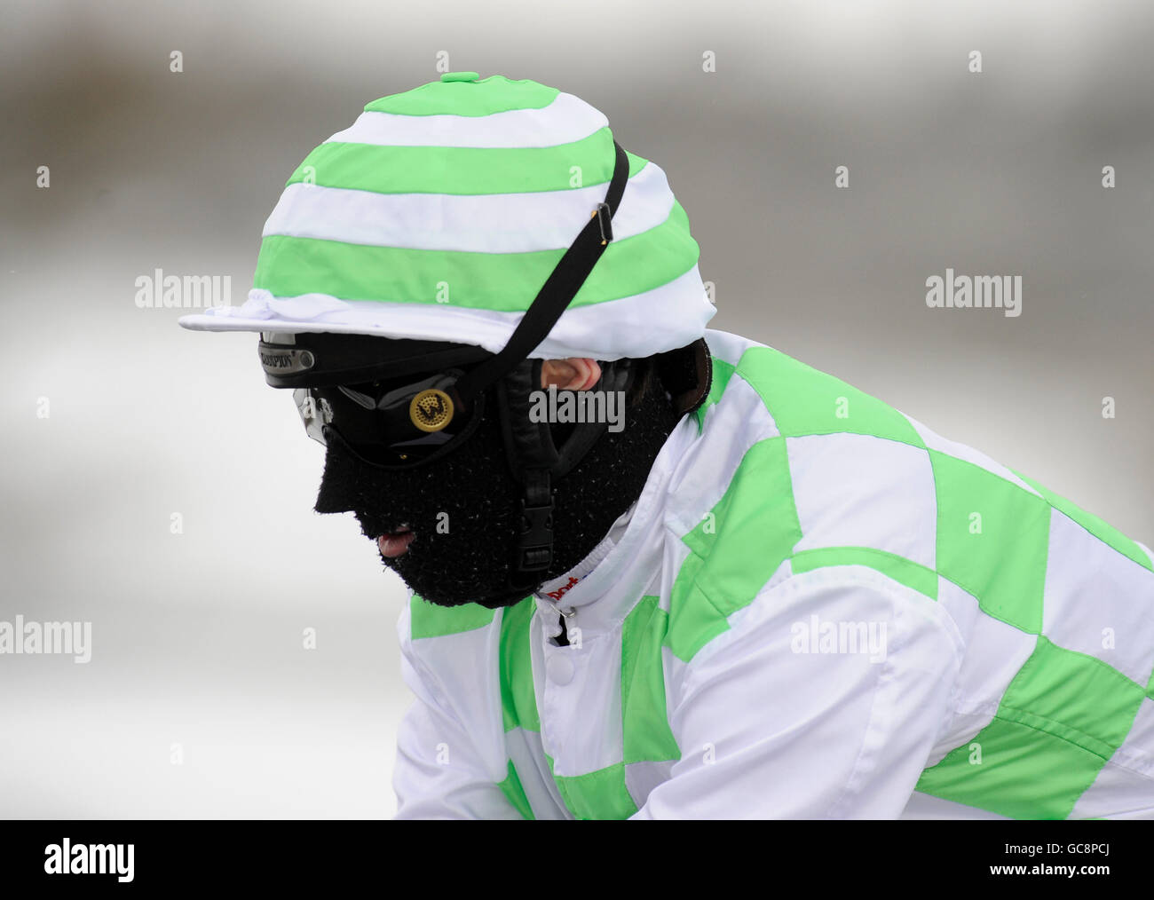 Horse Racing - Lingfield Racecourse Foto Stock