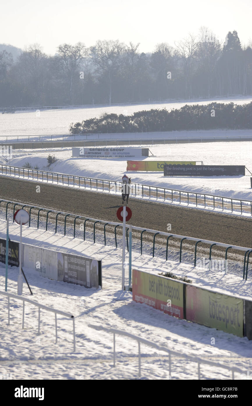 Corse di cavalli - Ippodromo di Lingfield. Una vista generale della neve all'ippodromo di Lingfield Foto Stock