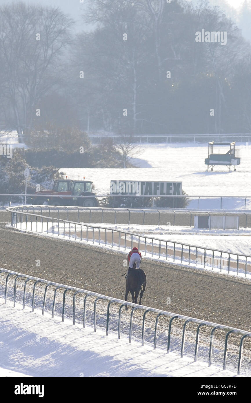 Corse di cavalli - Ippodromo di Lingfield. Una vista generale della neve all'ippodromo di Lingfield Foto Stock