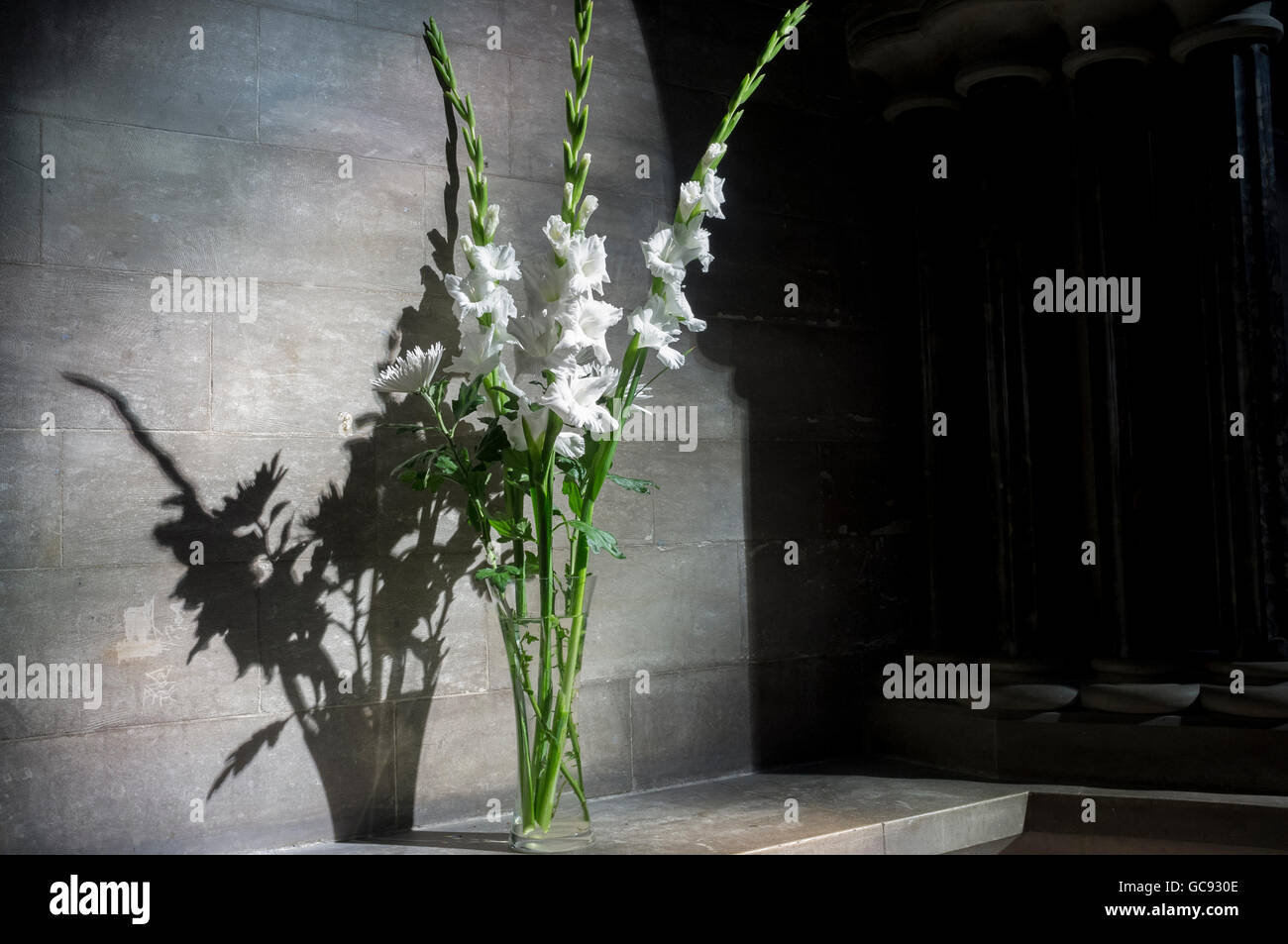 Fiori bianchi su un ripiano a Norwich Cathedral Foto Stock