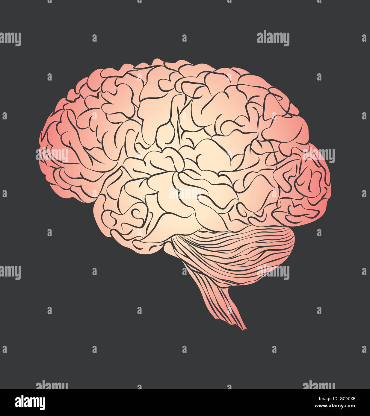 Cervello umano. Unico piatto a icona. Vista laterale Illustrazione Vettoriale