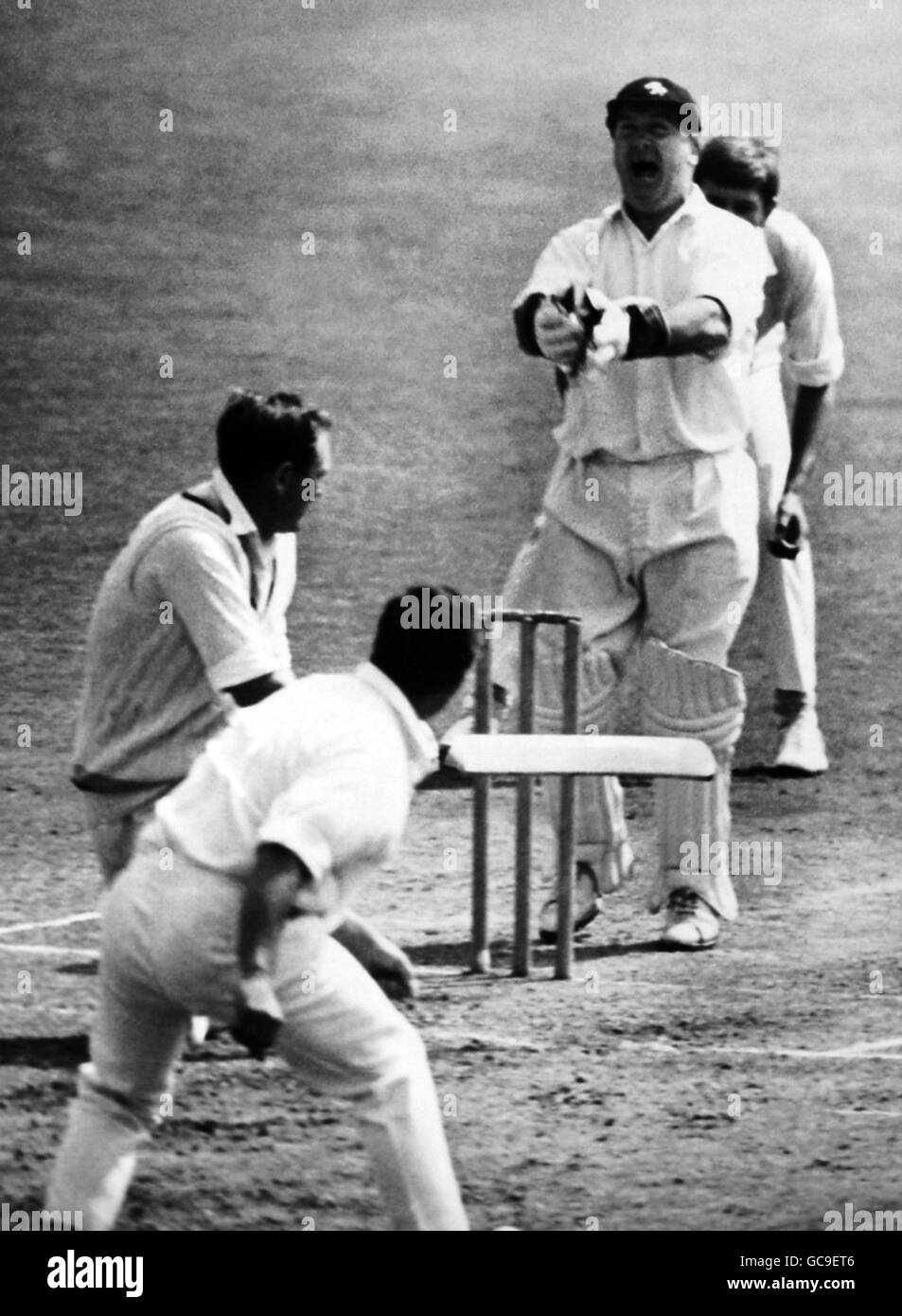 Godfrey Evans, il guardiano del wicket di Kent, lascia fuori un trionfante soffietto come Prende Yorkshire battitore Ray Illingworth fuori dal bowling Di Alan Dixon Foto Stock