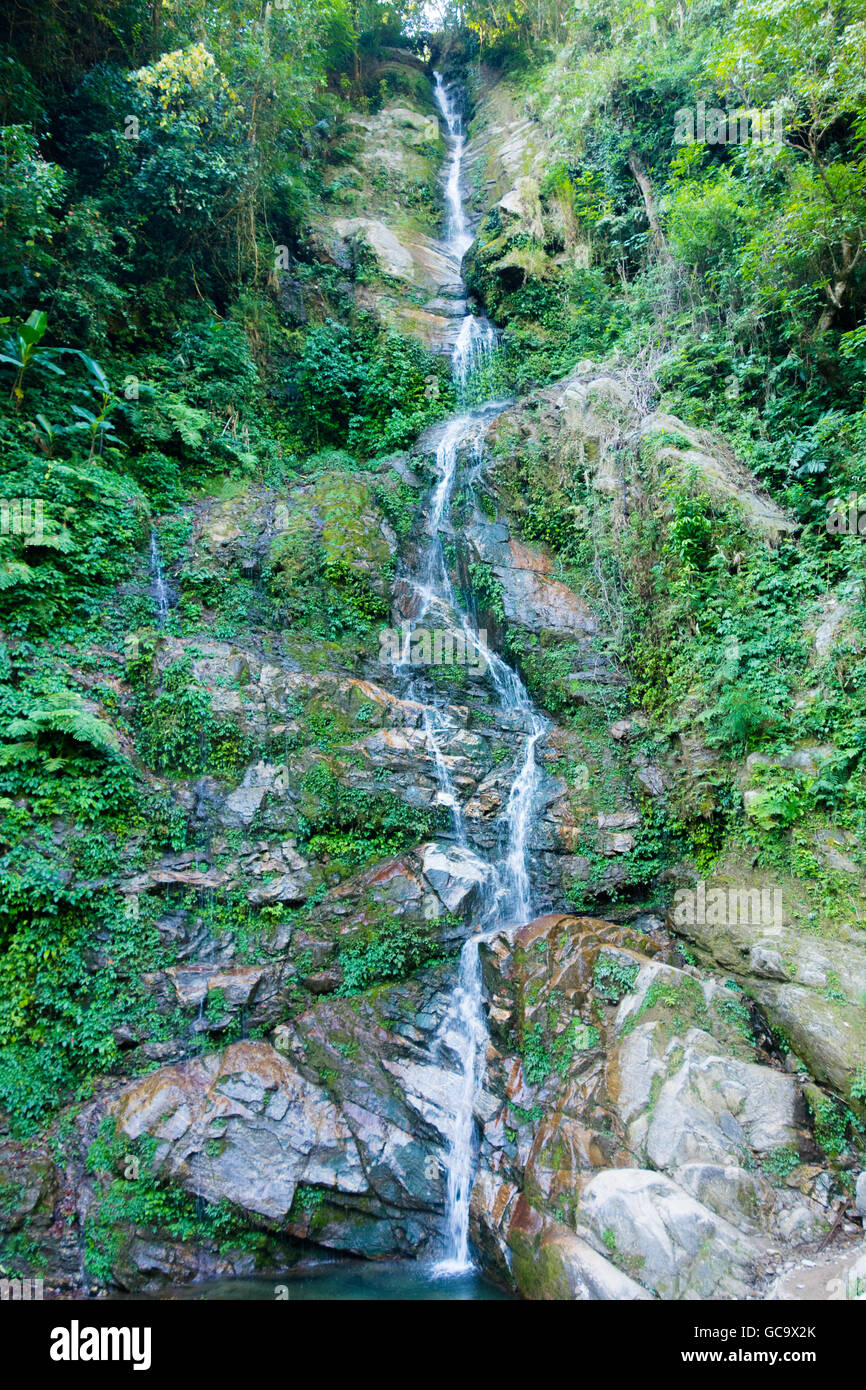 Rimbi cascata nel mese di dicembre in corrispondenza di ortografia, Sikkim, India Foto Stock