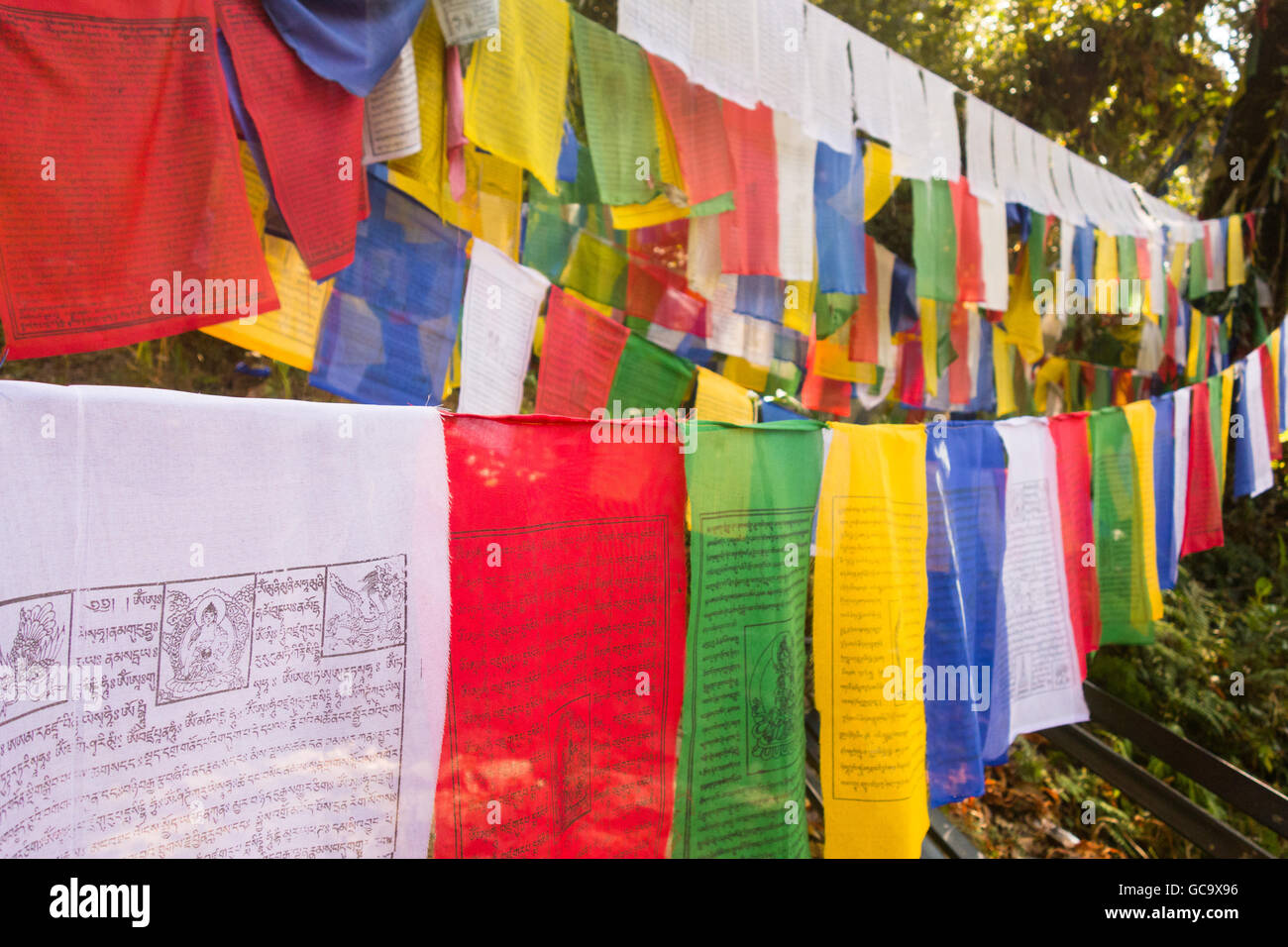 Colorati bandiere di preghiera, Khecheopalri Lake, ortografia, Sikkim, India Foto Stock