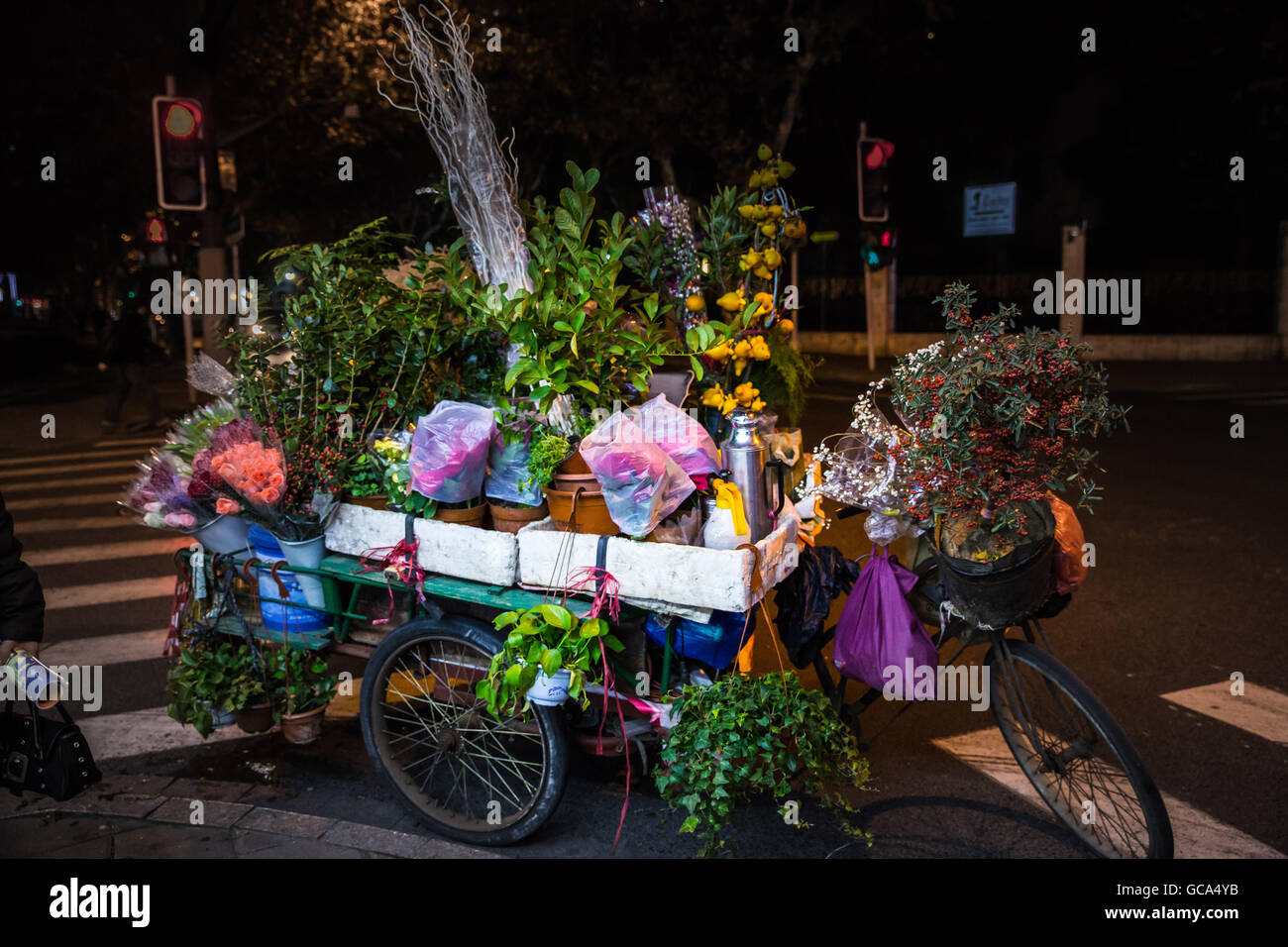 Carrello cinese di bicicletta per il trasporto di fiori e piante Foto Stock