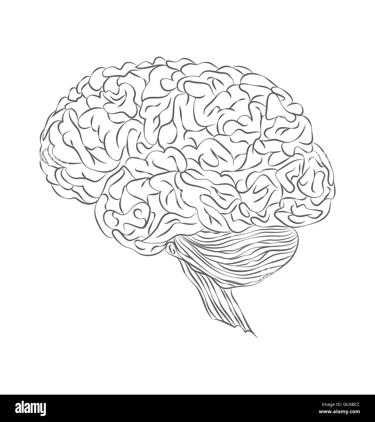 Cervello umano. Unico piatto a icona. Vista laterale Illustrazione Vettoriale