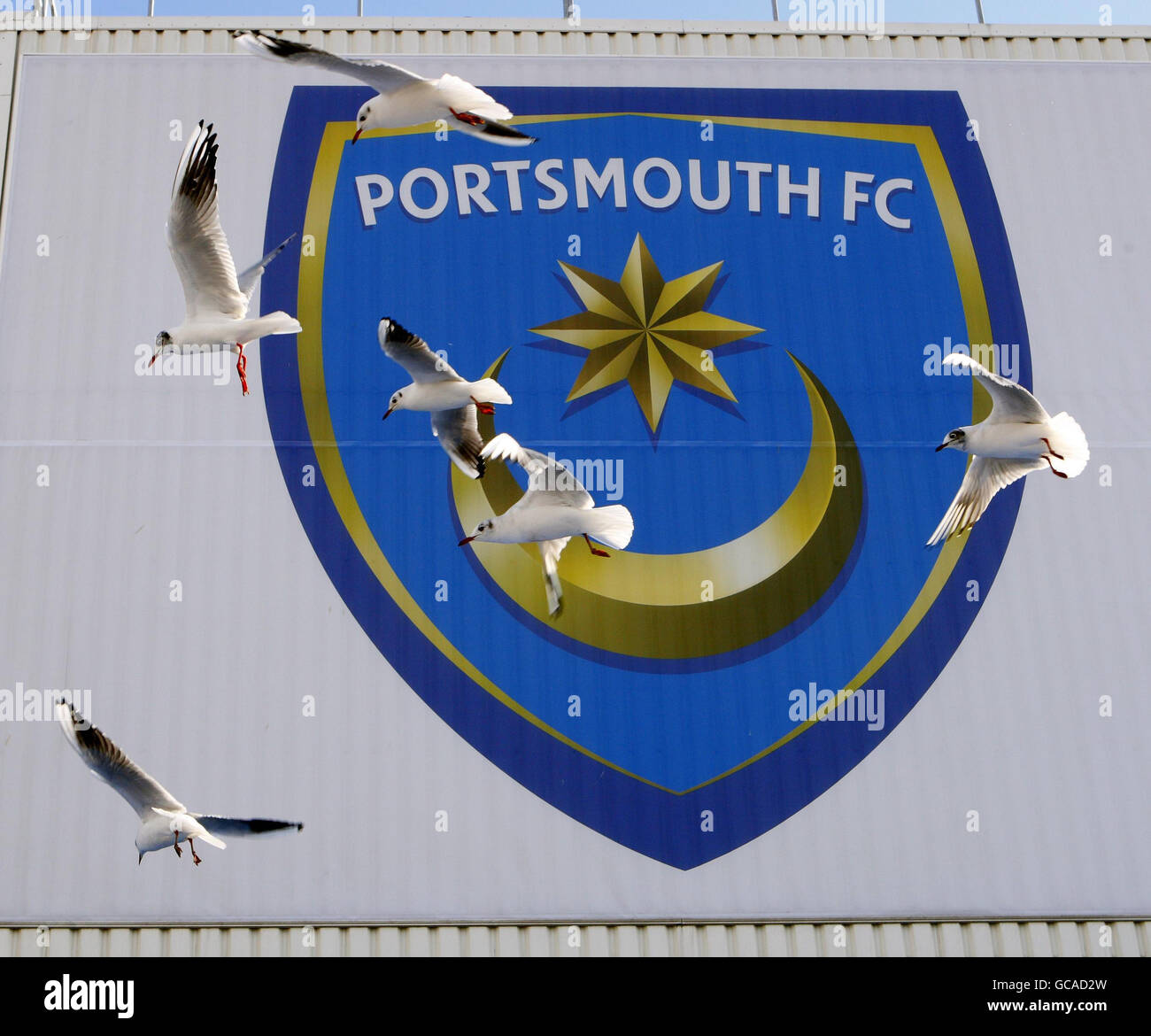 I gabbiani girano sul Fratton Park, sede del Portsmouth Football Club. Foto Stock