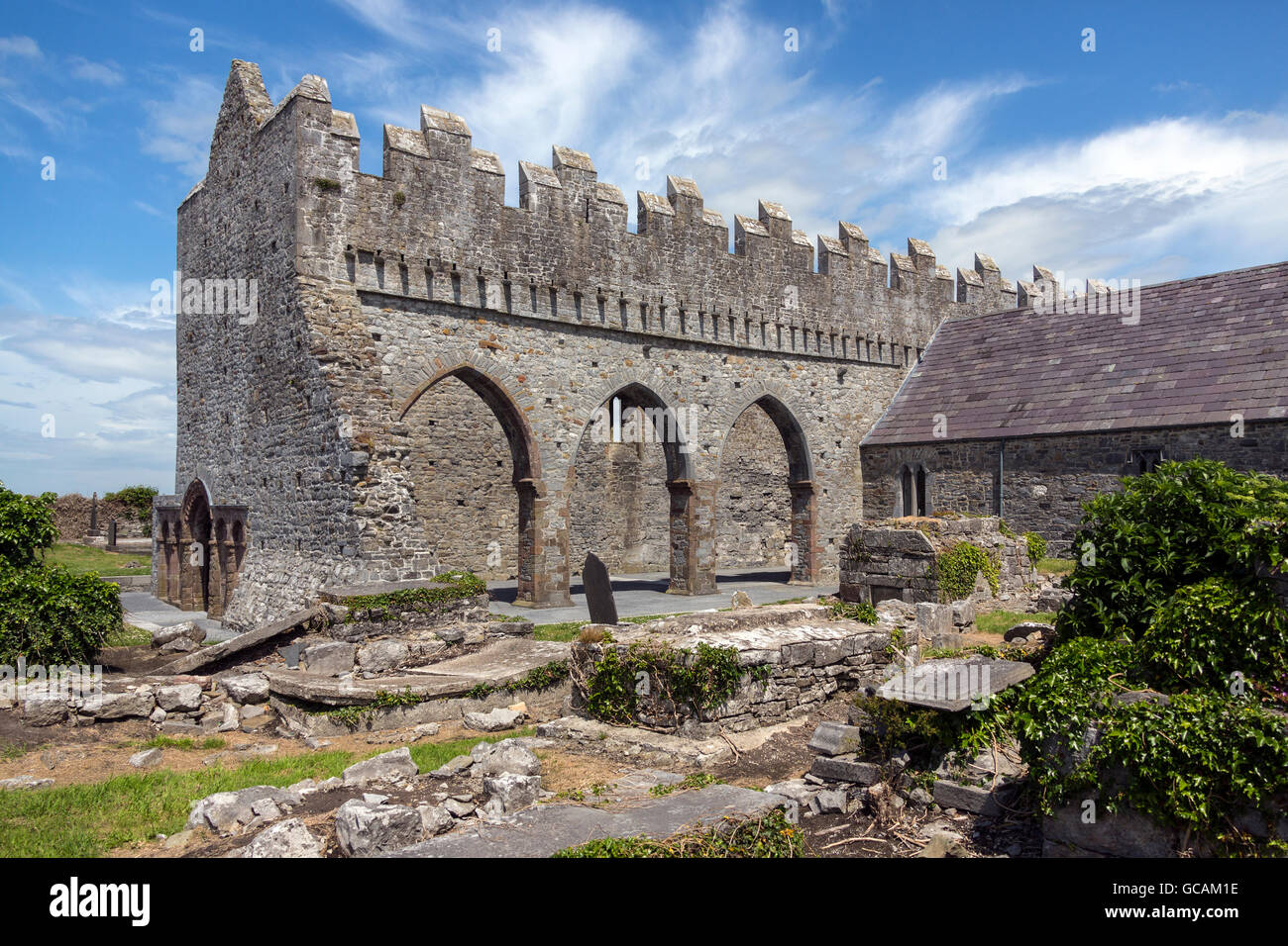 Le rovine della Cattedrale di Ardfert nella Contea di Kerry in Repubblica di Irlanda. Foto Stock