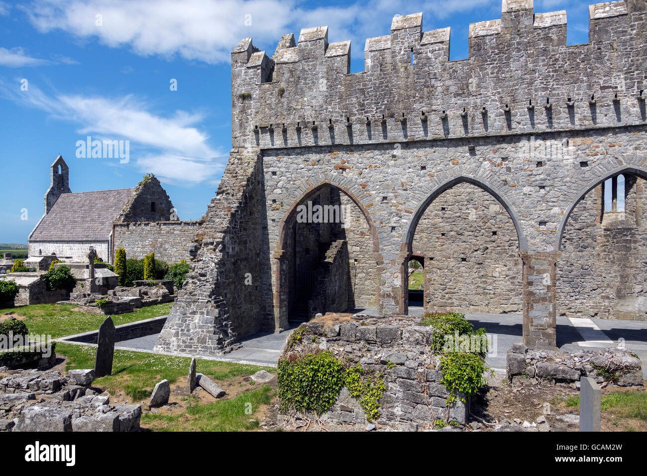 Le rovine della Cattedrale di Ardfert nella Contea di Kerry in Repubblica di Irlanda. Foto Stock