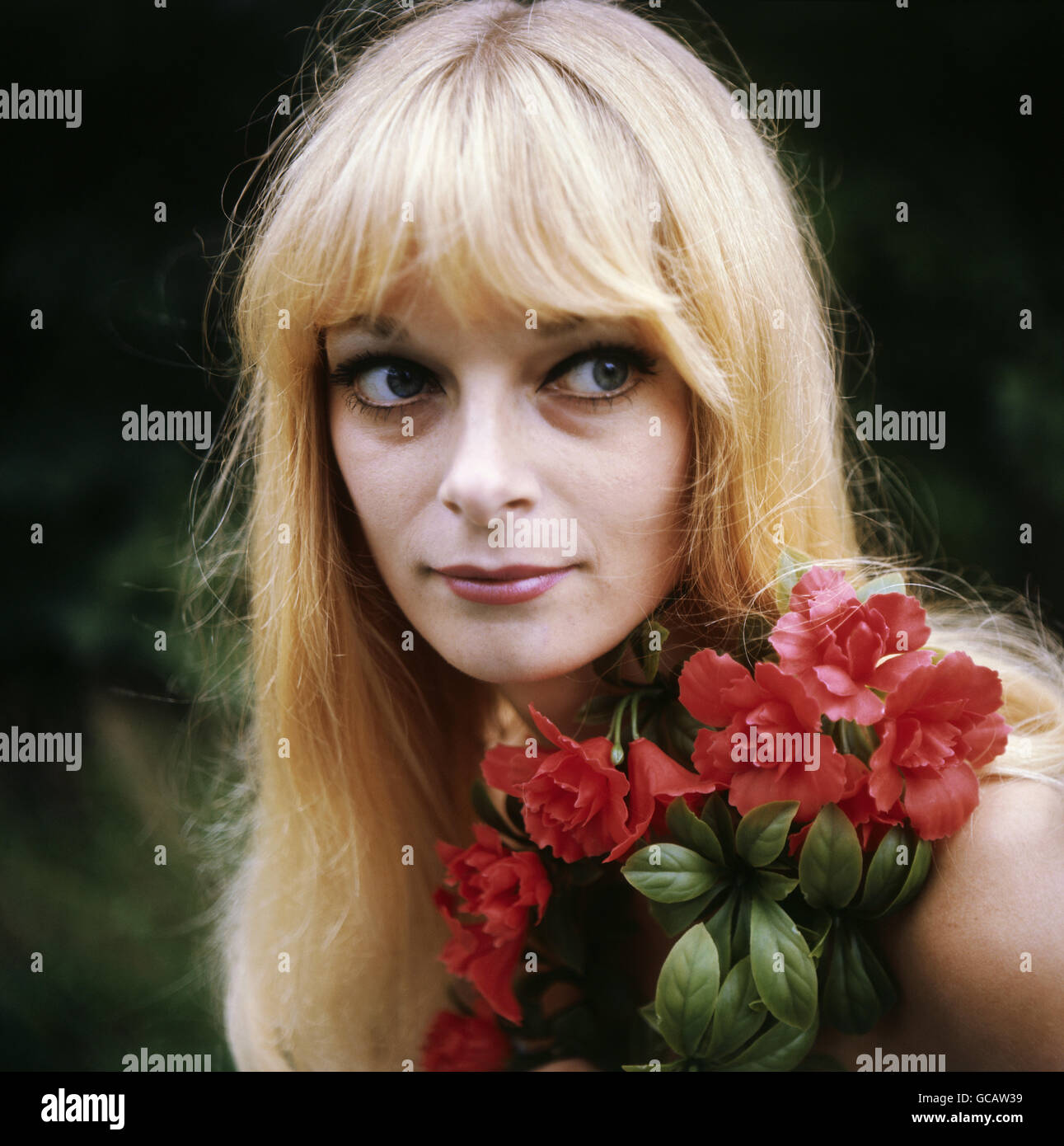 Persone, donne, anni settanta, donna bionda con rose, ritratto, Additional-Rights-Clearences-non disponibile Foto Stock