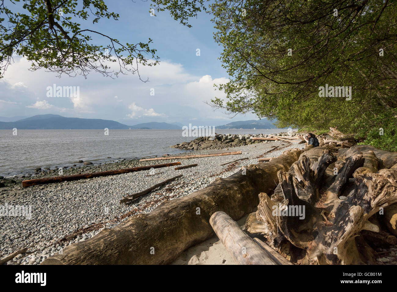 Spiaggia lungo il sentiero Foreshore; Vancouver, British Columbia, Canada Foto Stock