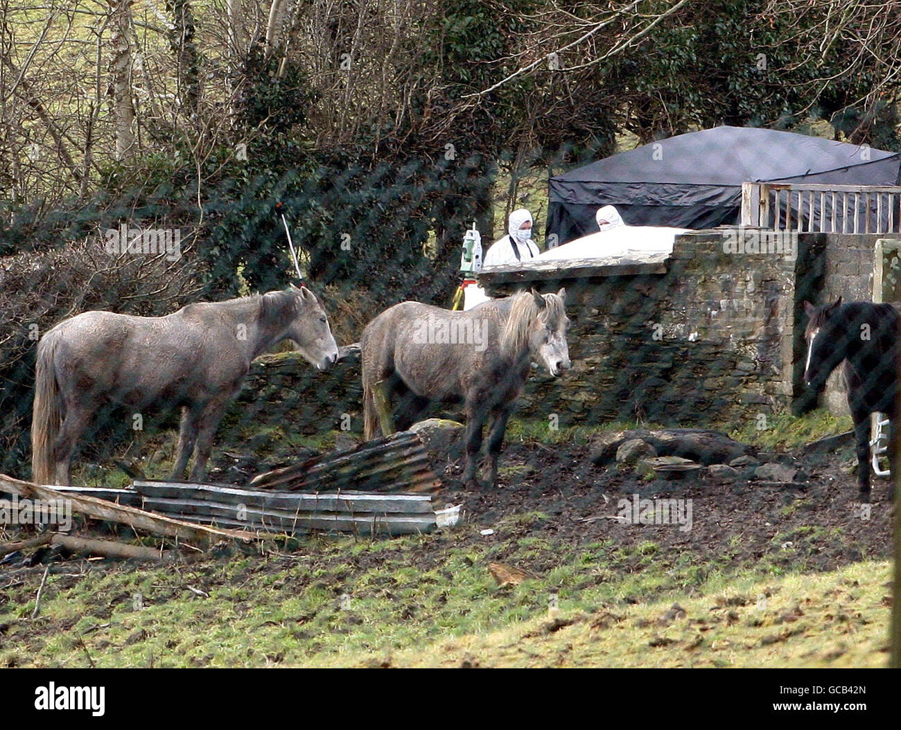 Uomo ucciso in Ulster Foto Stock