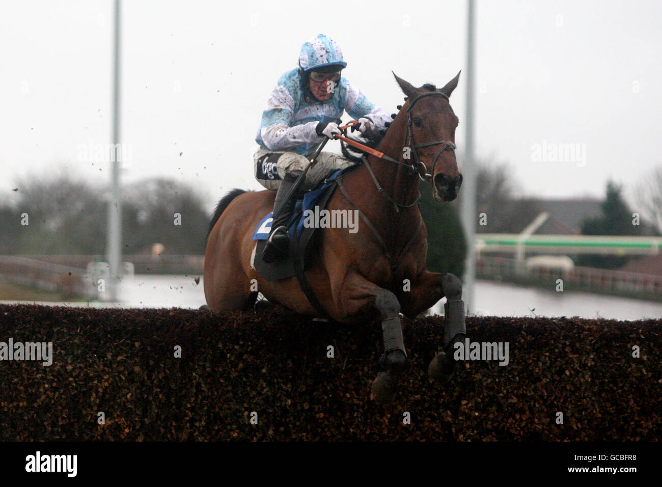 Horse Racing - William Hill Lanzarote Hurdle giorno - Kempton Park Racecourse Foto Stock