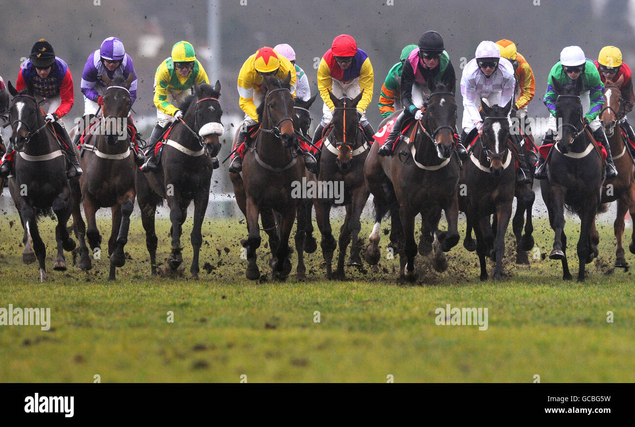 Corse ippiche - Racing Post Chase Day - Ippodromo di Kempton Park. La Shangr-la Dubai Standard Open National Hunt Flat Race (Classe 5) al Kempton Park racecourse, Londra Foto Stock