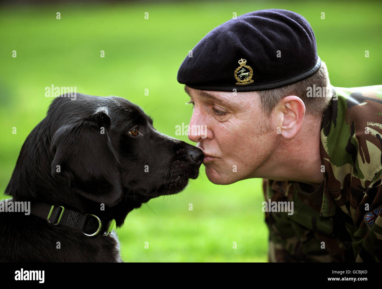 Il gestore di cani dell'esercito Sergeant David Heyhoe e gli esplosivi dell'esercito cercano il cane Treo, da 104 Military Working Dogs, durante una fotocall a Londra per lanciare quest'anno DFS Crufts 2010 spettacolo di cani al centro NEC di Birmingham, che corre tra l'11 e il 14 marzo. Foto Stock